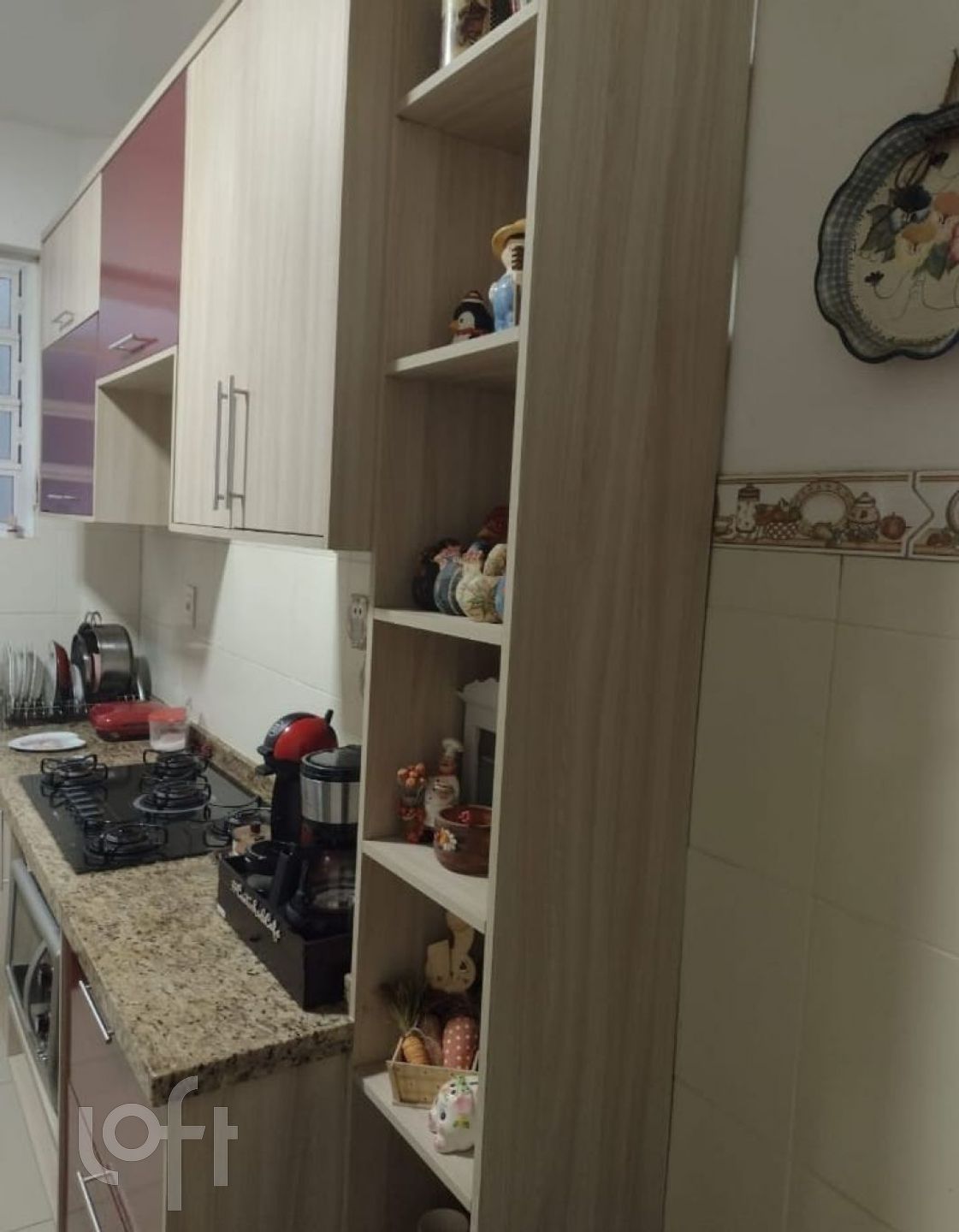 Imagem da propriedade 16