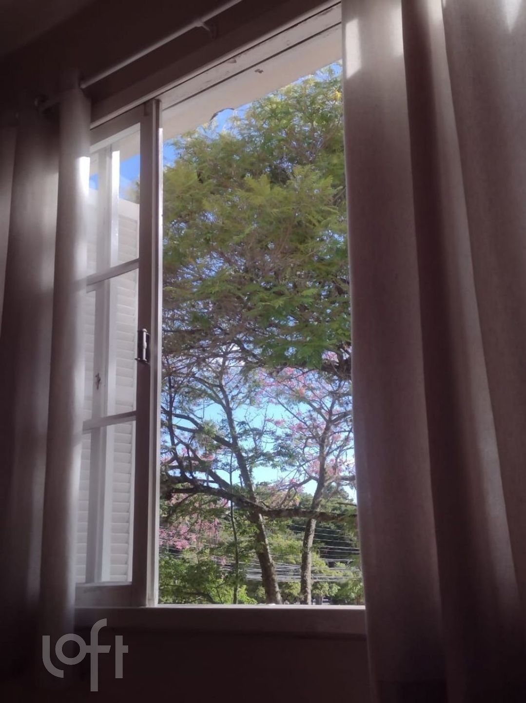 Imagem da propriedade 22