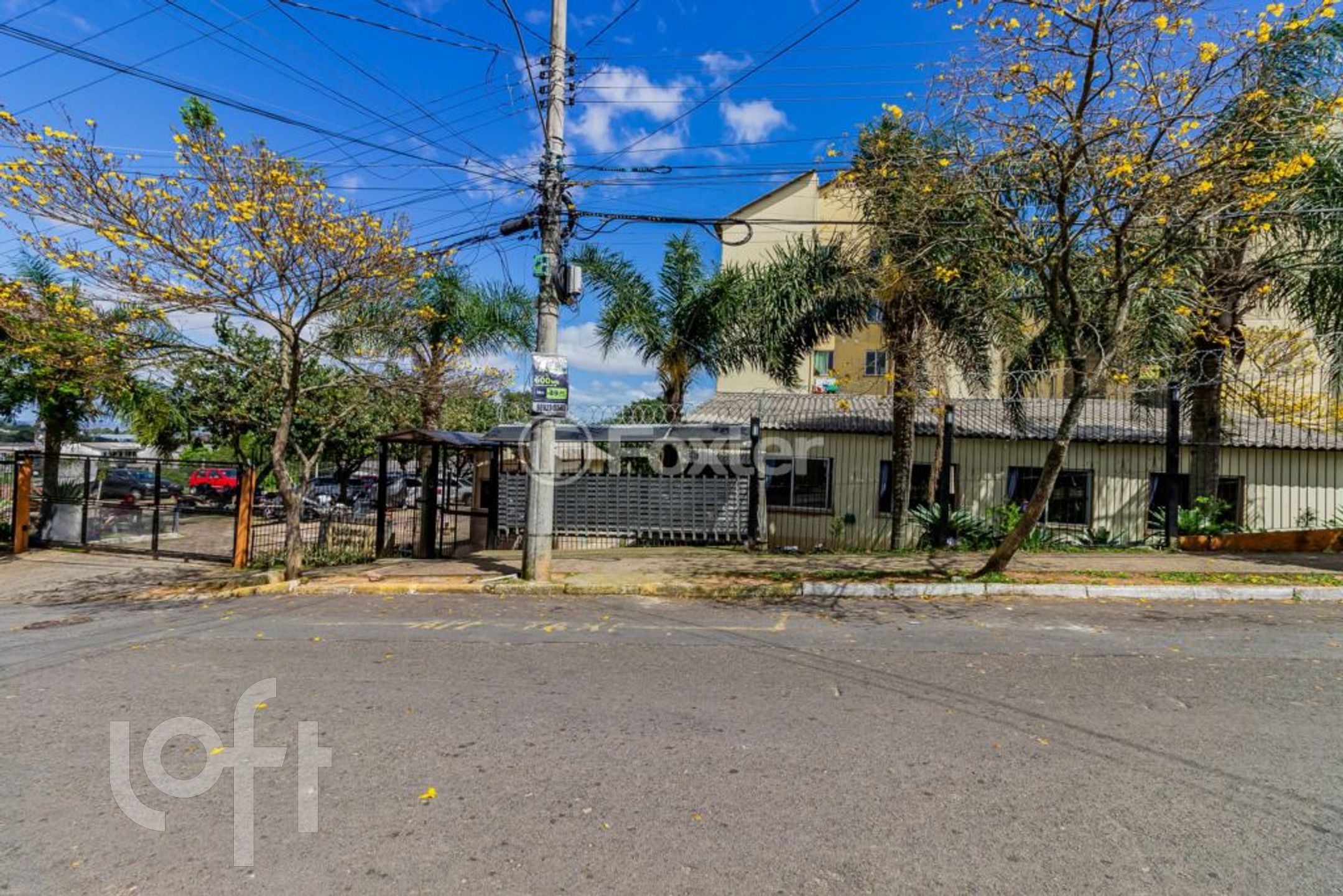 Imagem da propriedade 29