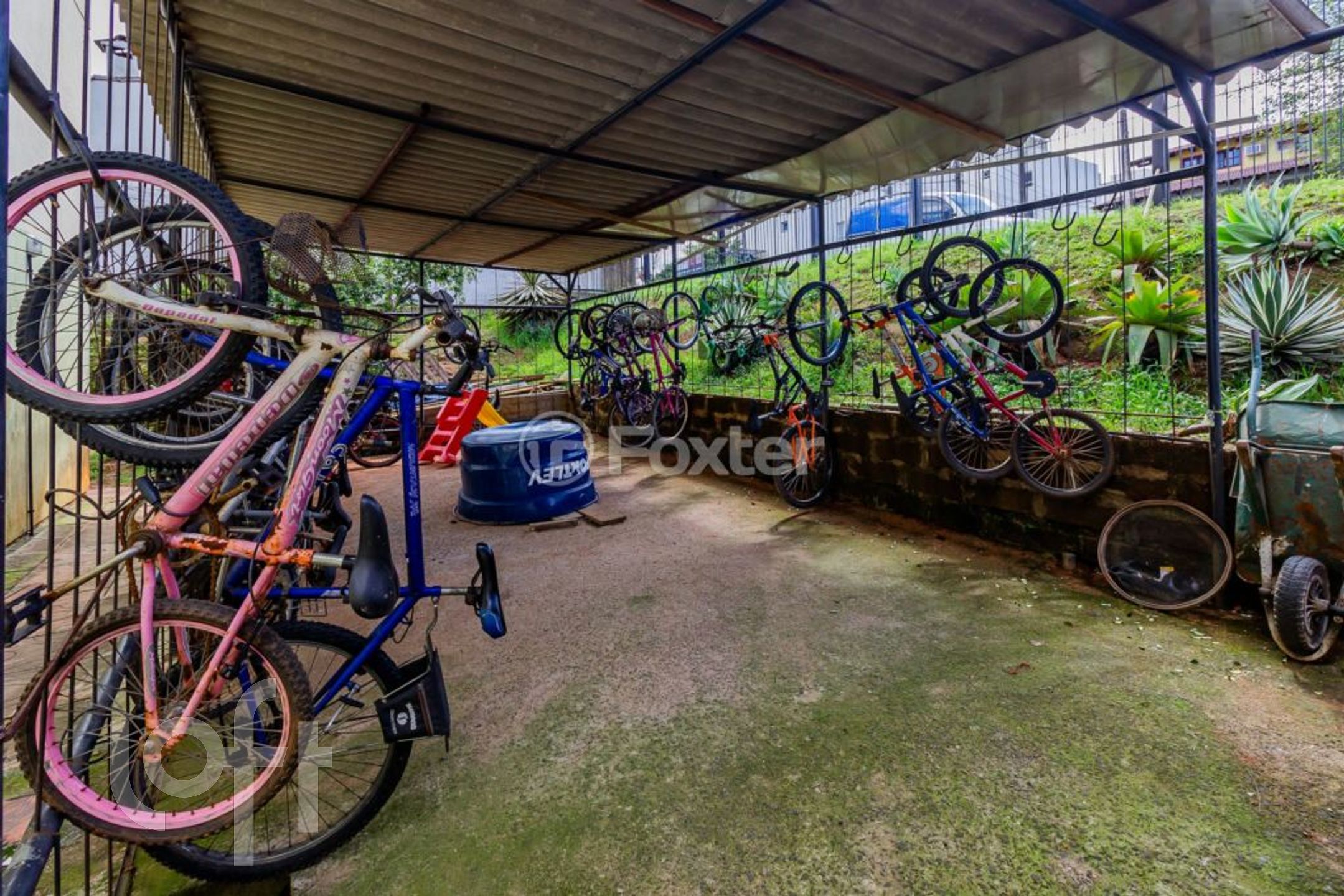 Imagem da propriedade 28