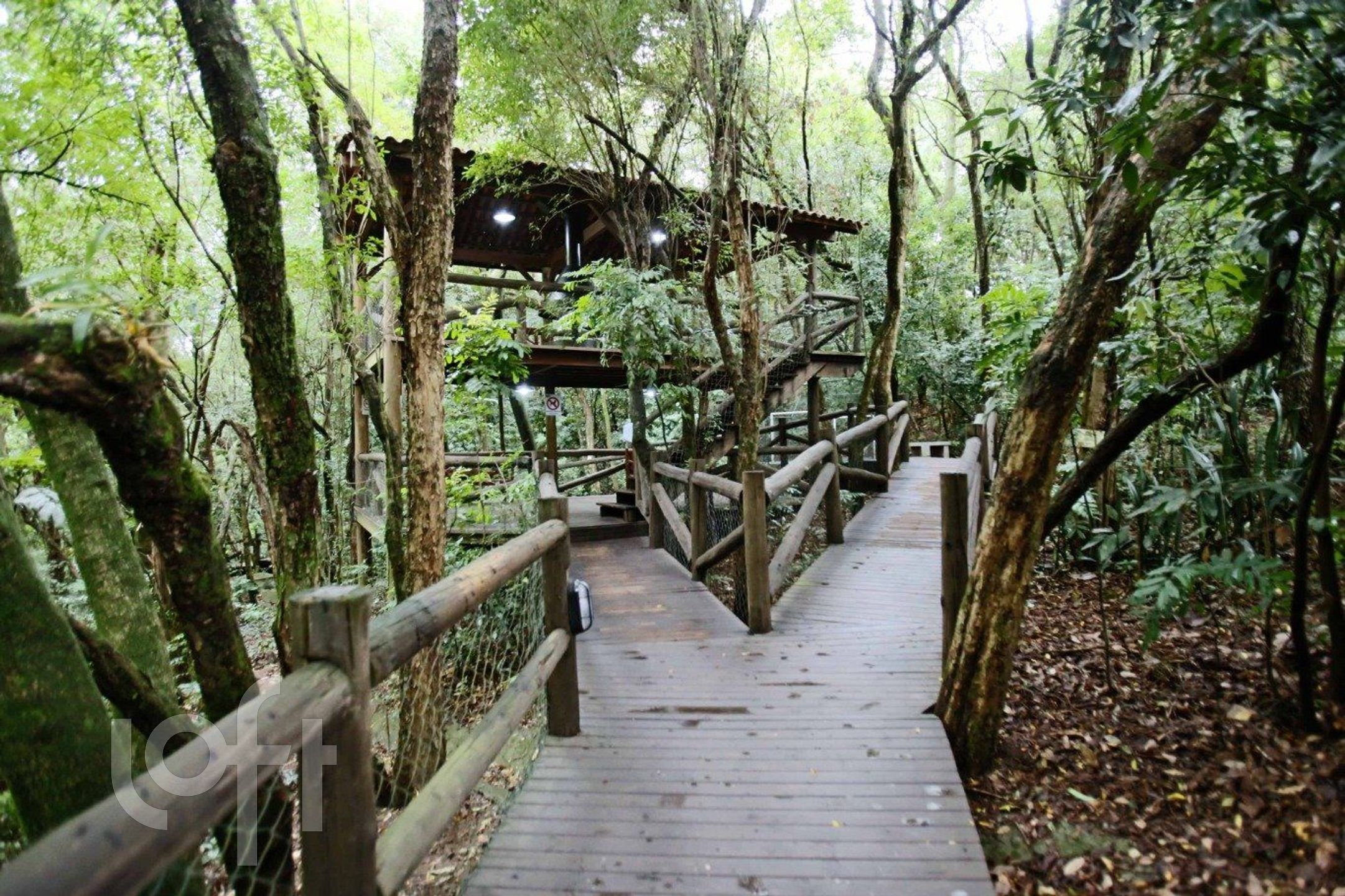 Imagem da propriedade 29