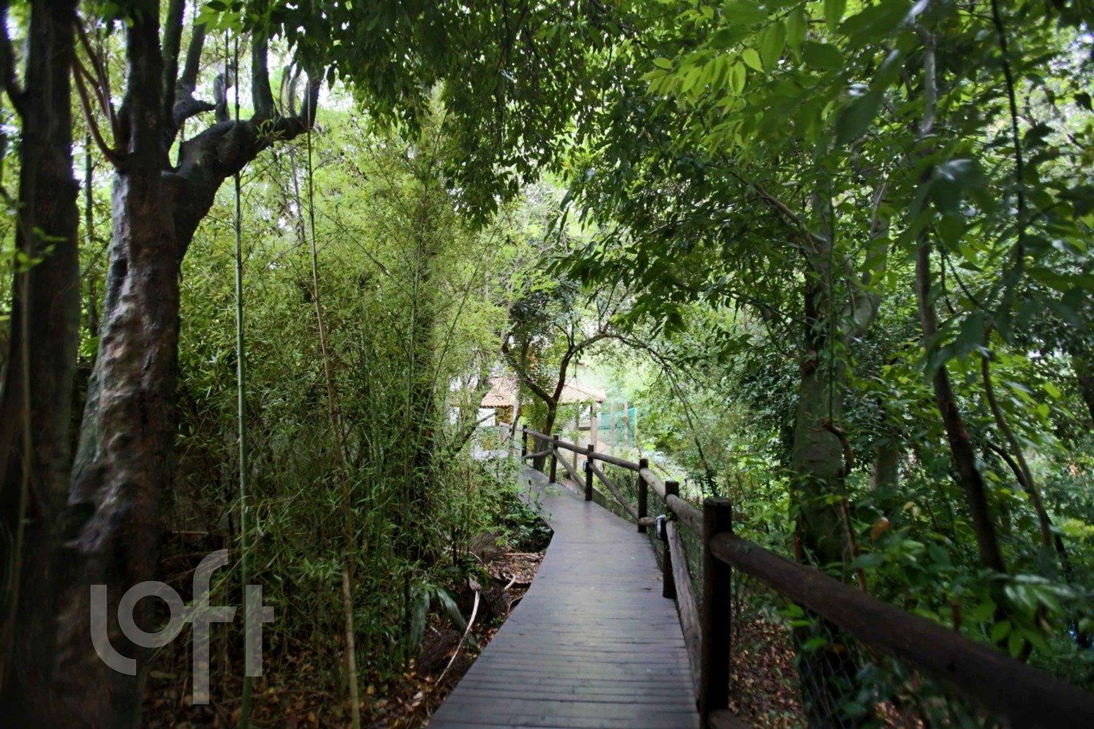 Imagem da propriedade 30