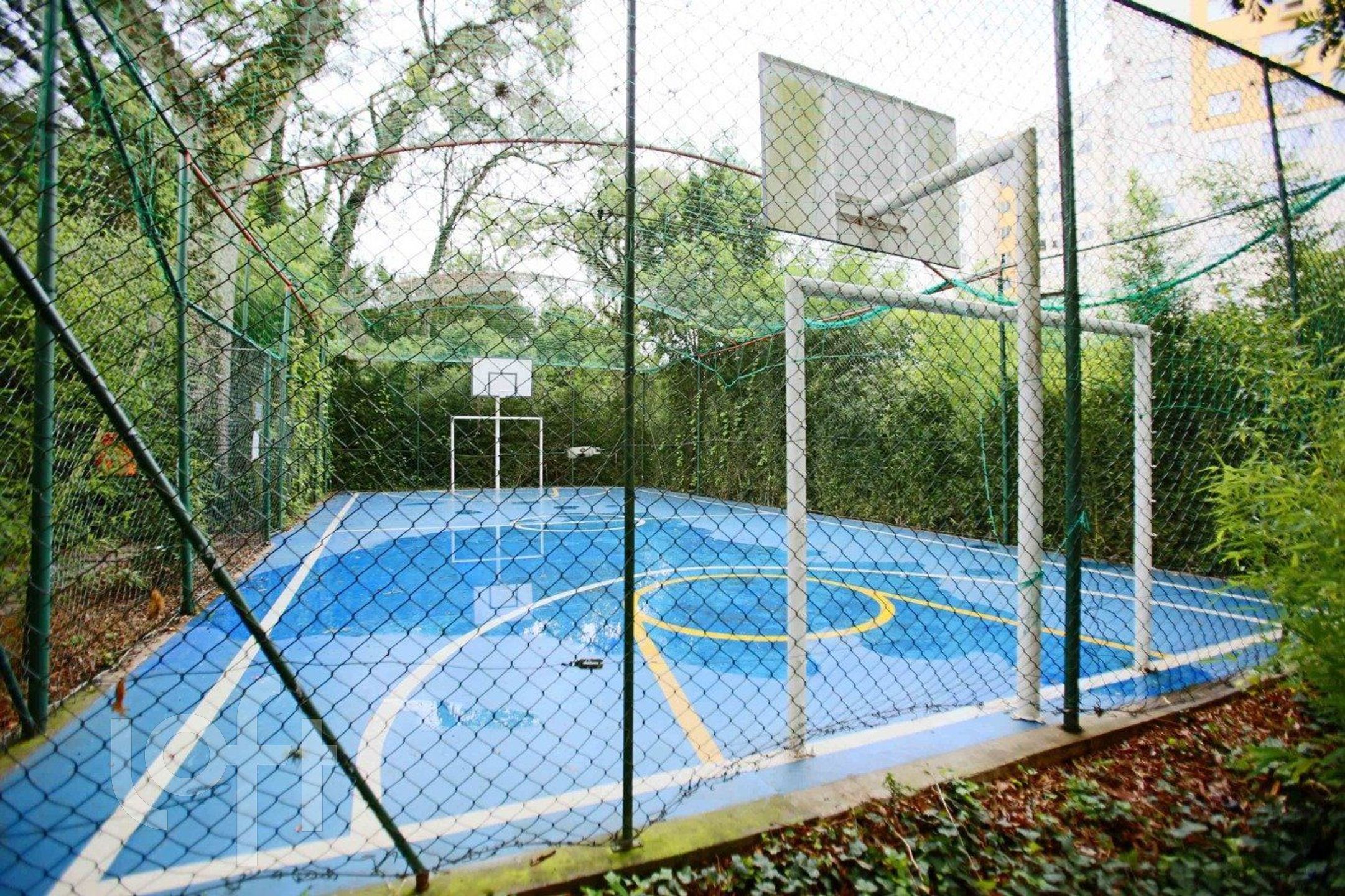 Imagem da propriedade 25