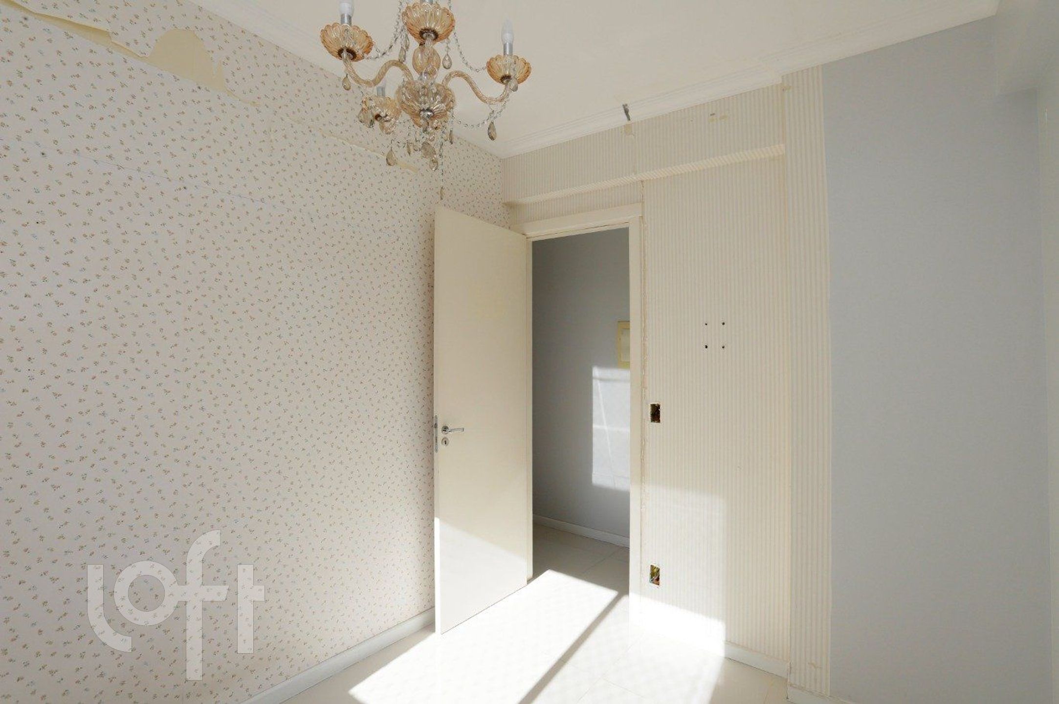 Imagem da propriedade 11