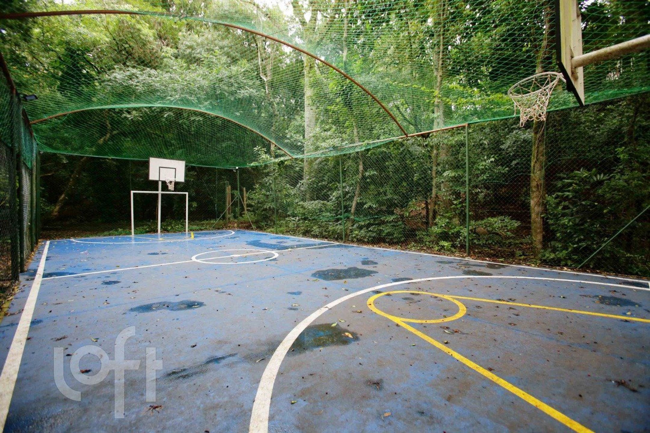 Imagem da propriedade 27