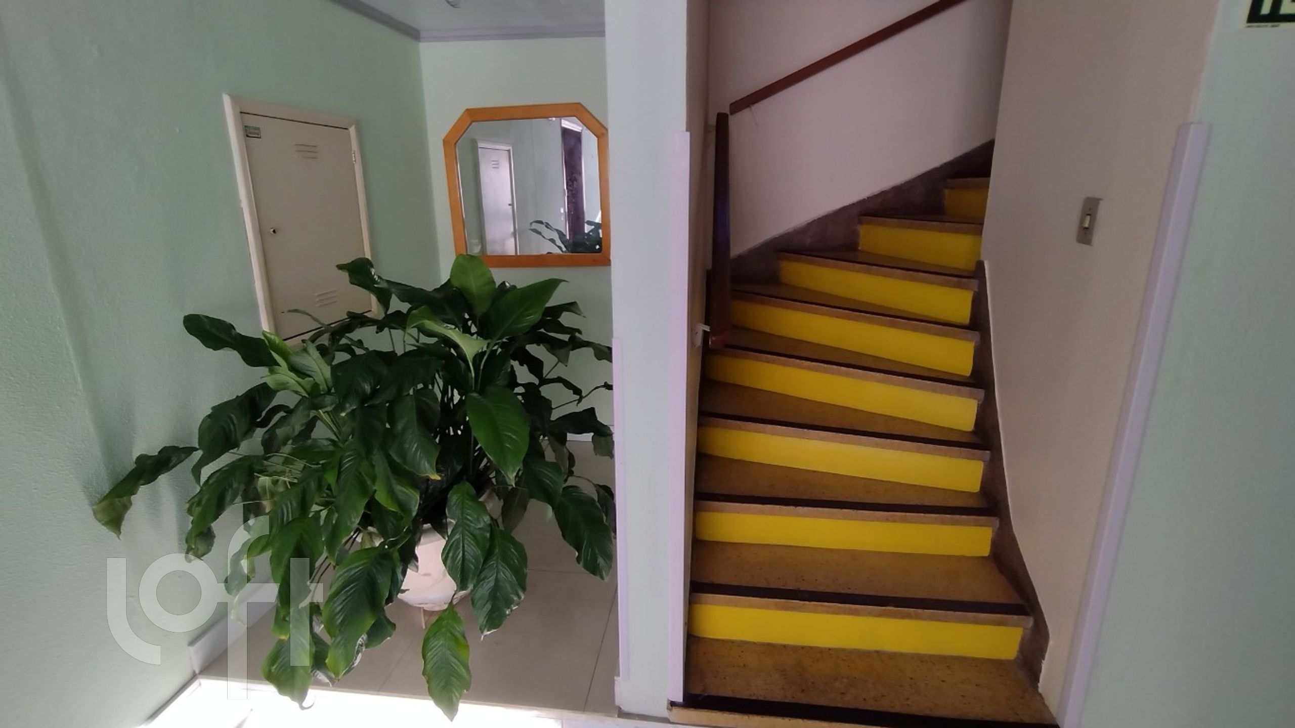 Imagem da propriedade 8