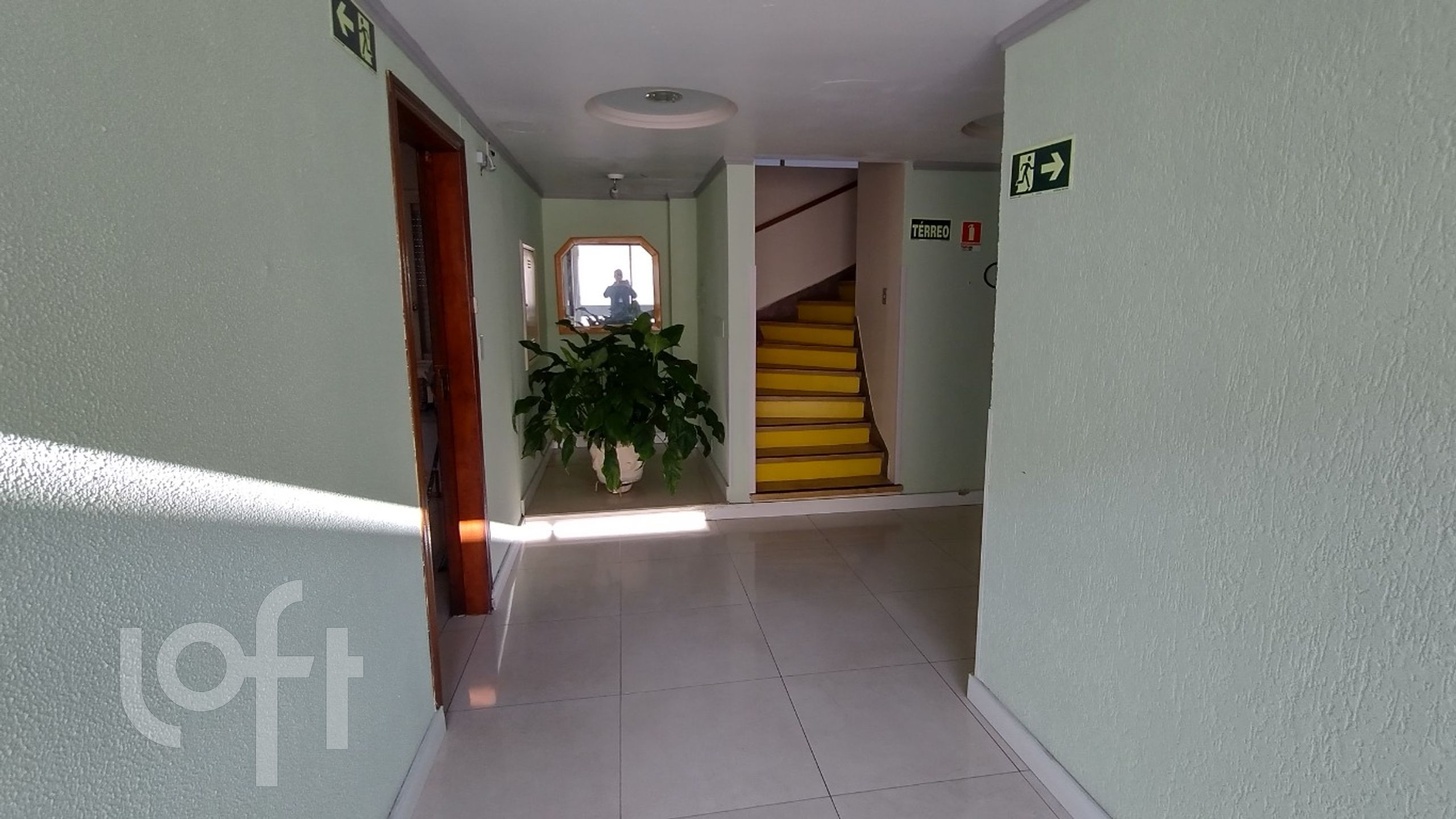 Imagem da propriedade 6