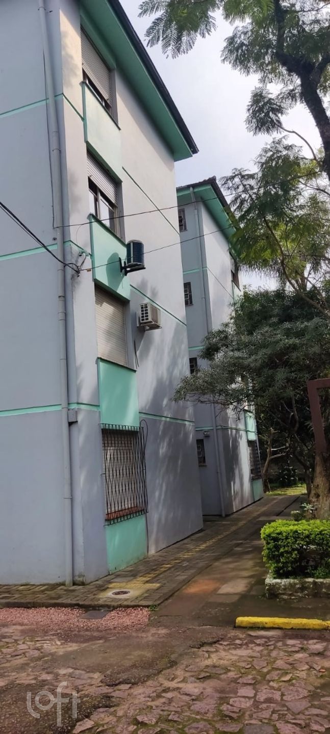 Imagem da propriedade 8