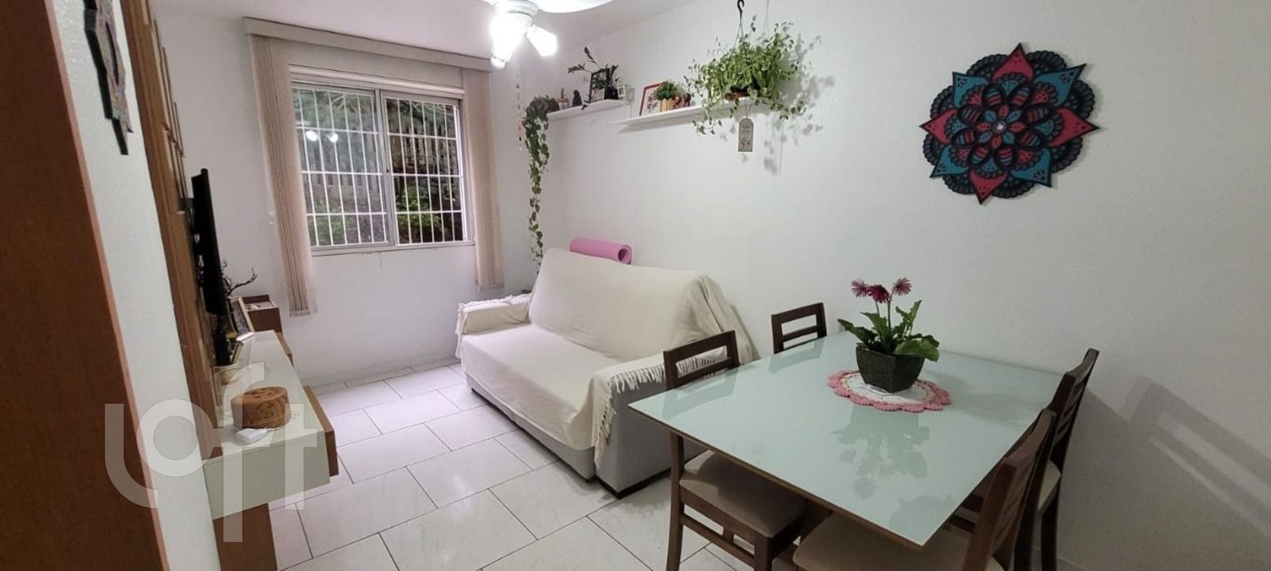 Imagem da propriedade 12