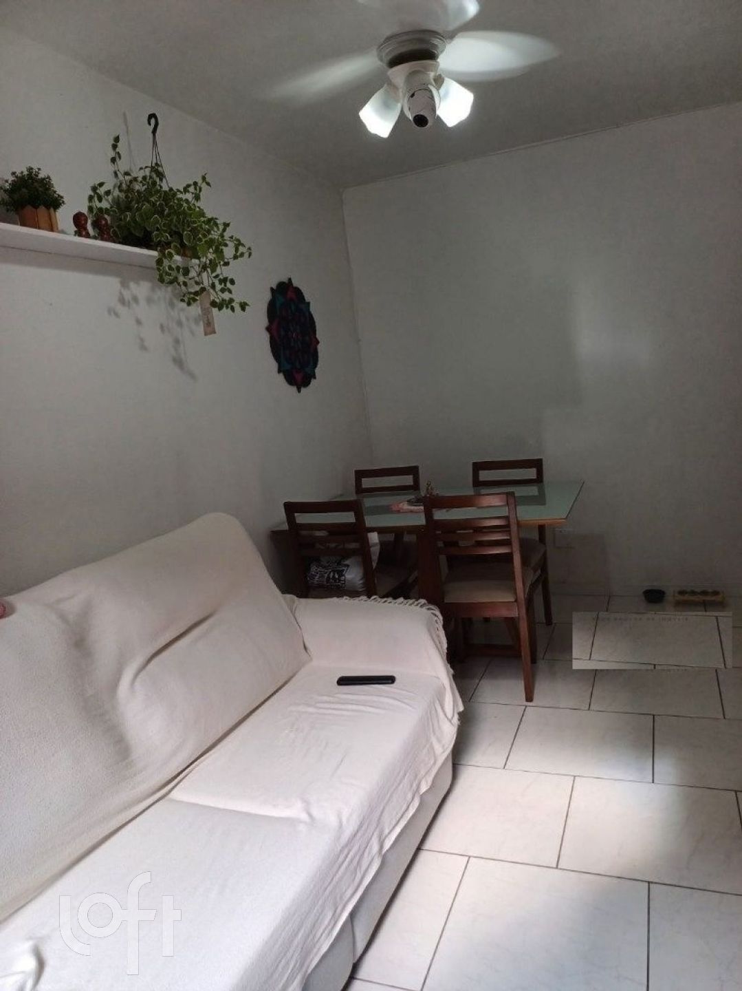 Imagem da propriedade 3