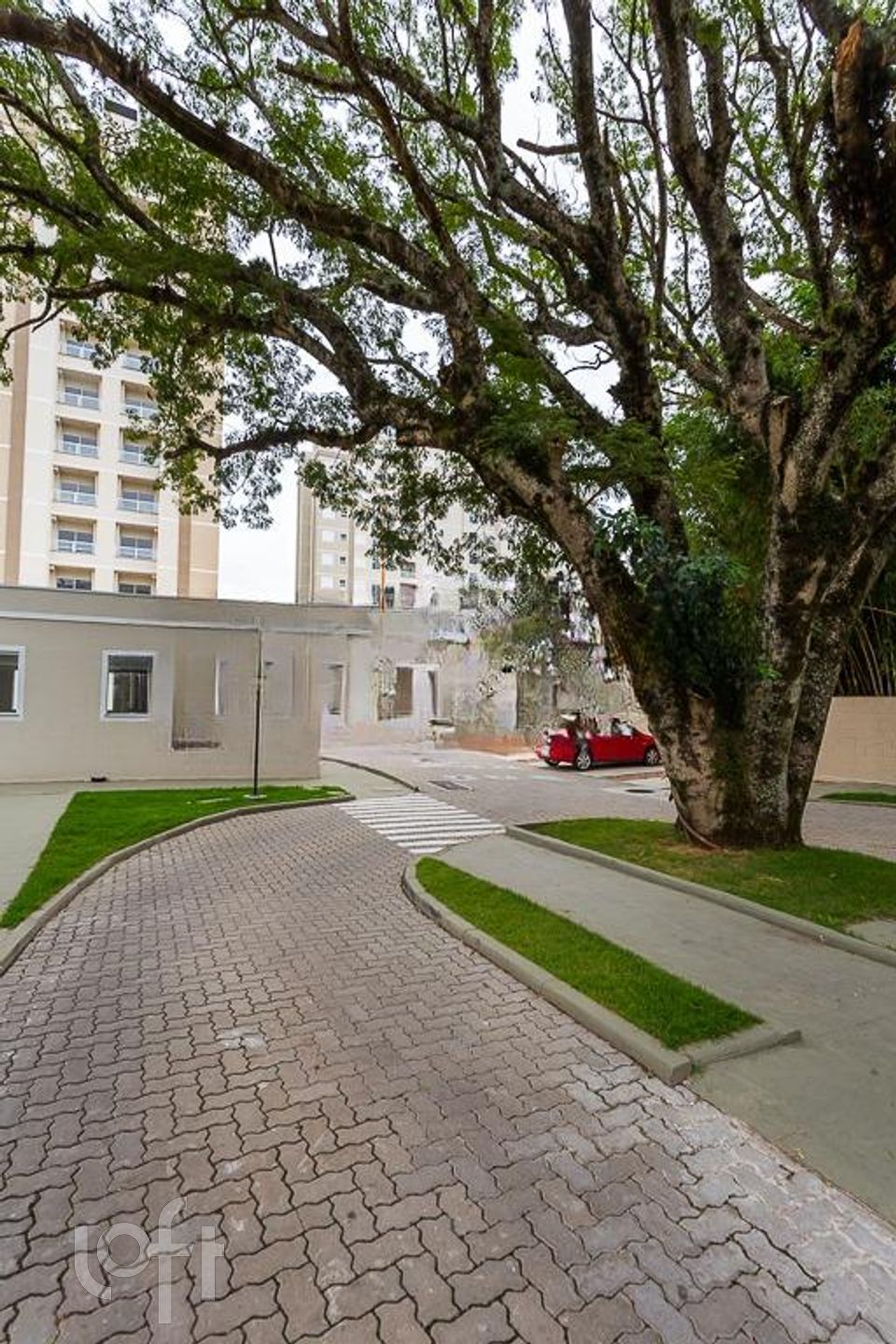 Imagem da propriedade 37