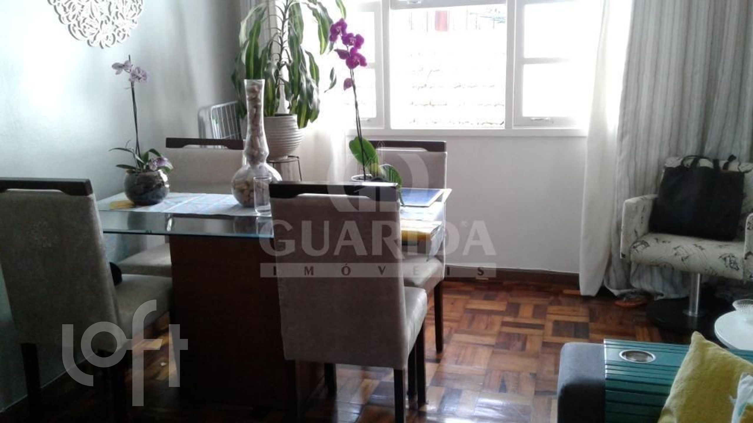 Imagem da propriedade 9