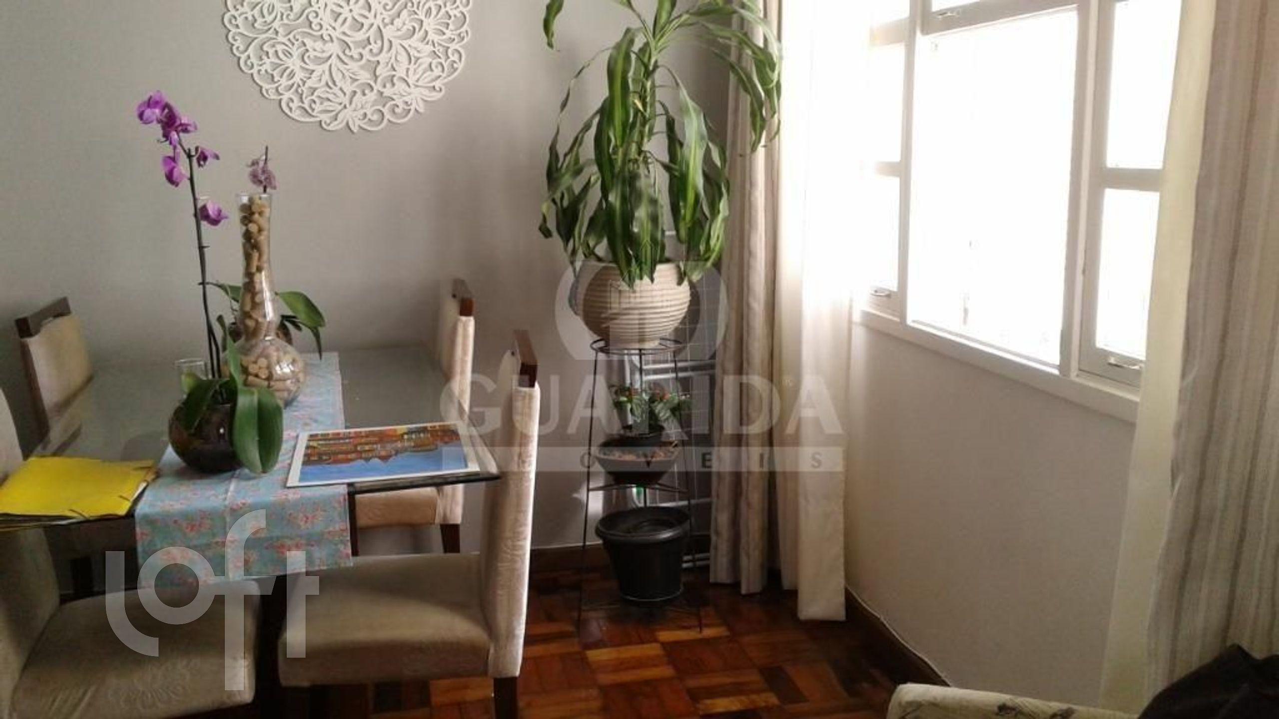 Imagem da propriedade 10