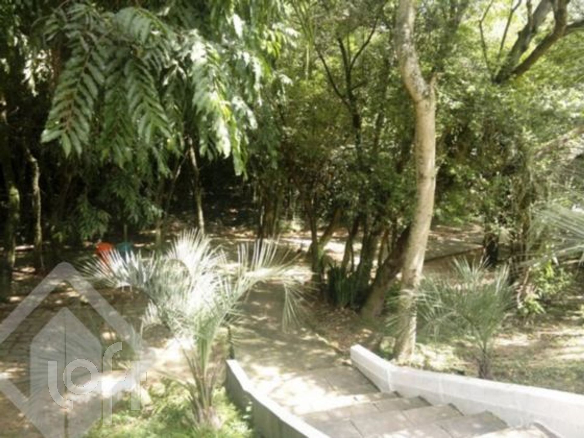 Imagem da propriedade 19