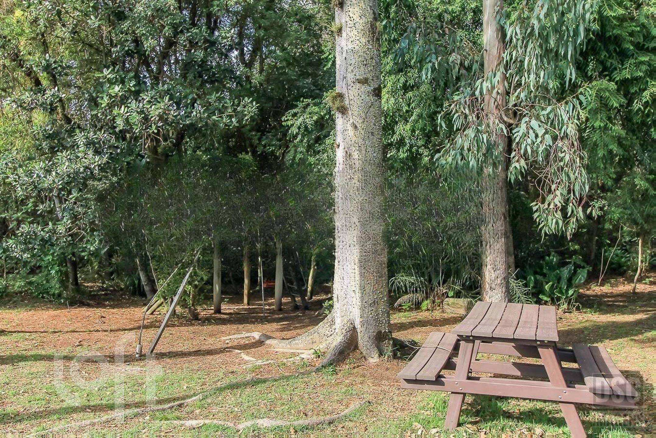 Imagem da propriedade 66