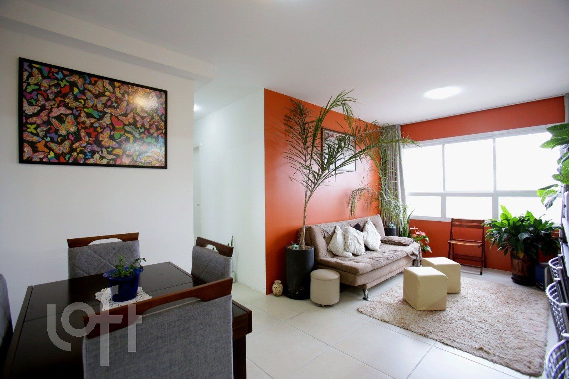 Imagem da propriedade 4