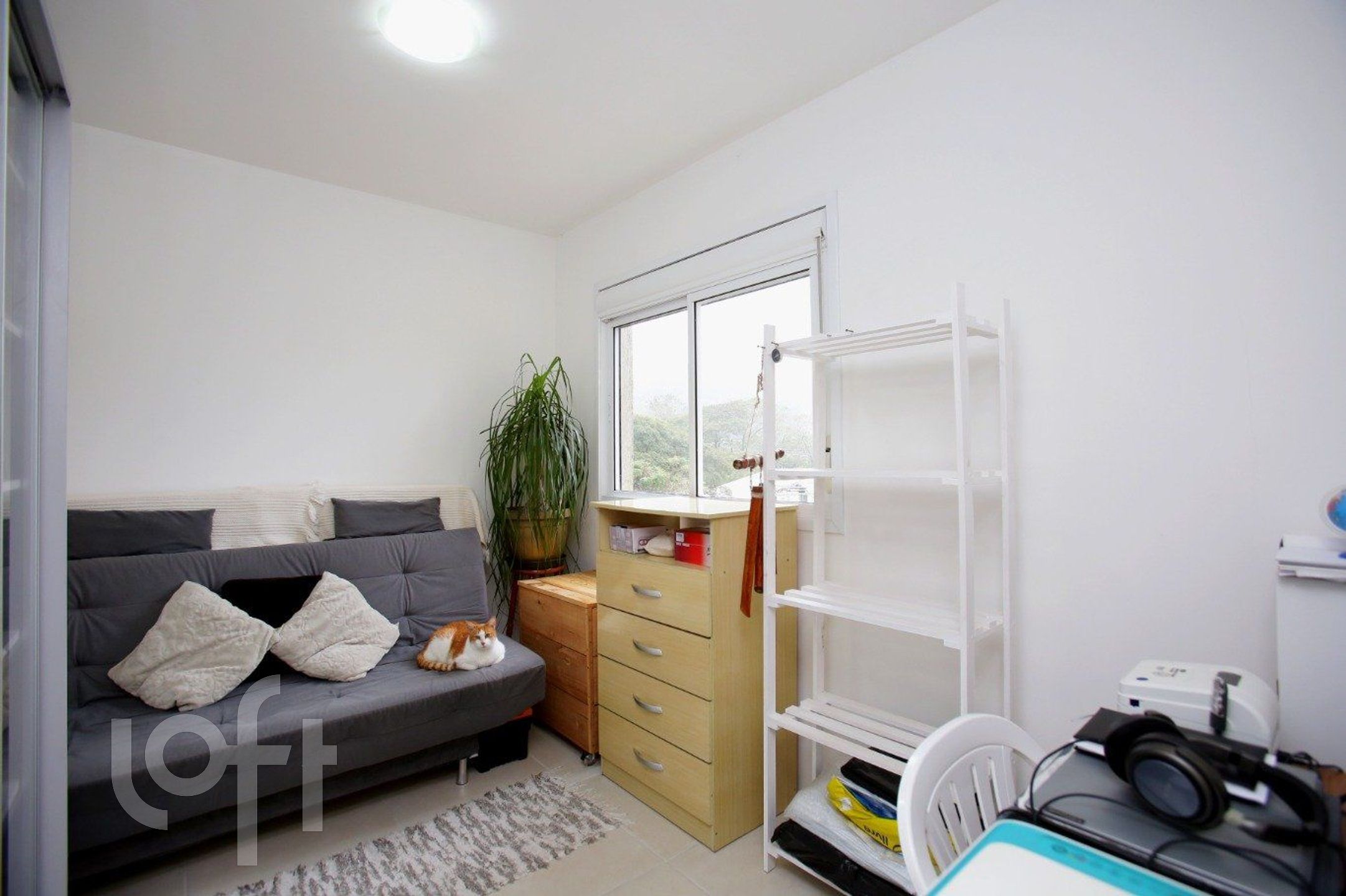 Imagem da propriedade 15