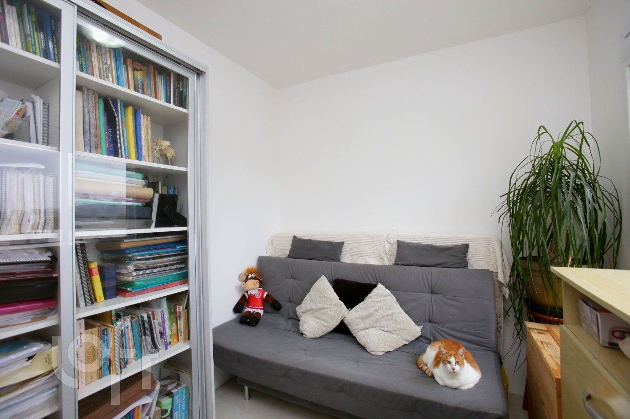 Imagem da propriedade 16