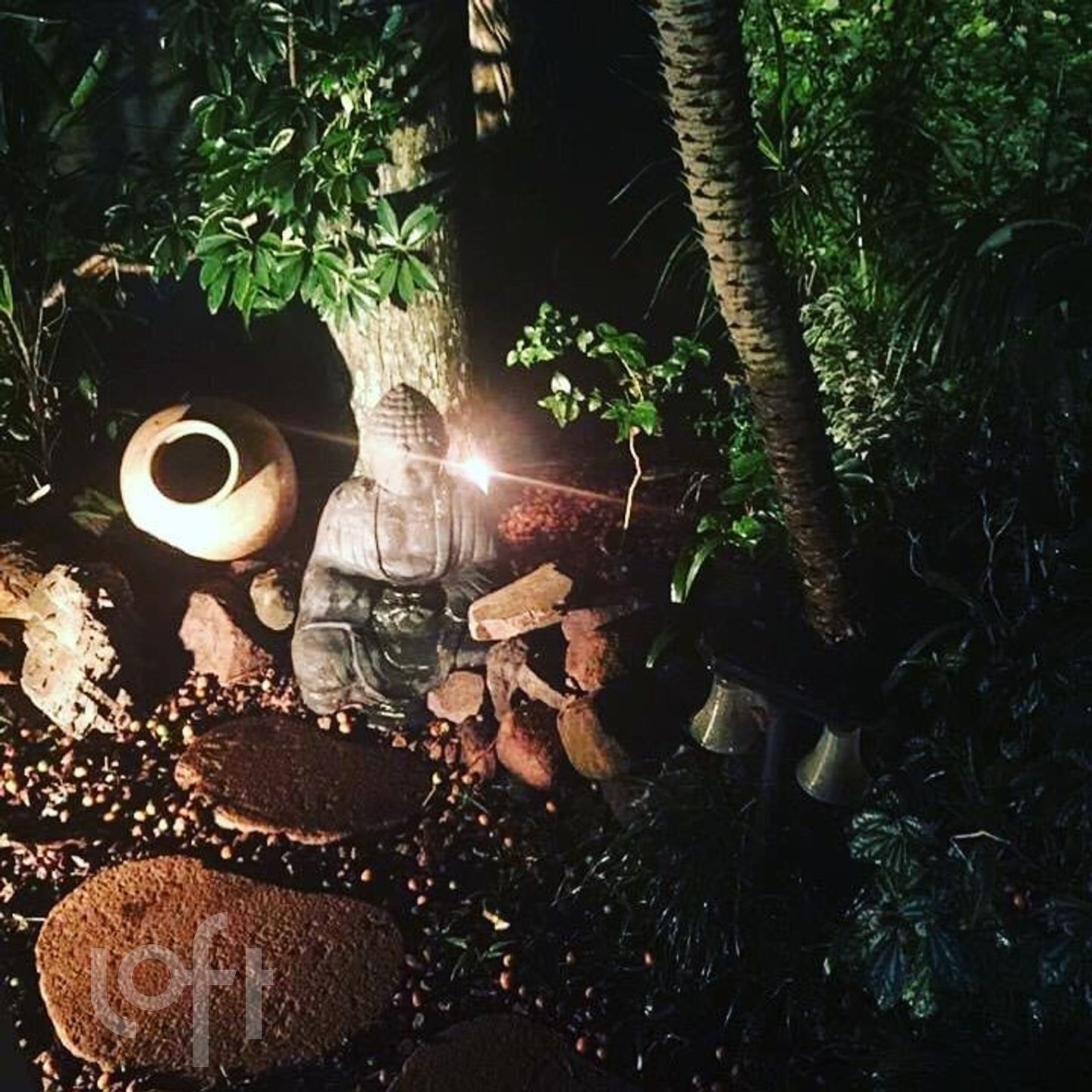 Imagem da propriedade 5