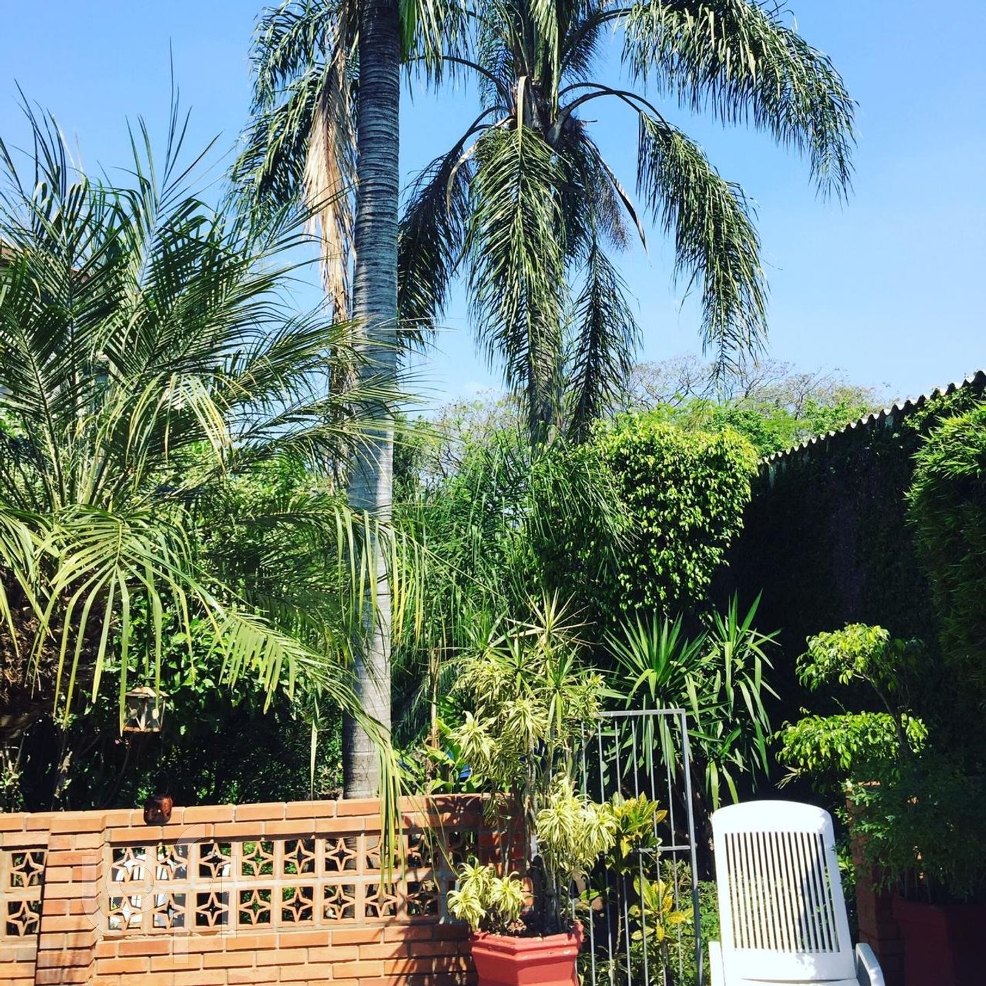 Imagem da propriedade 3