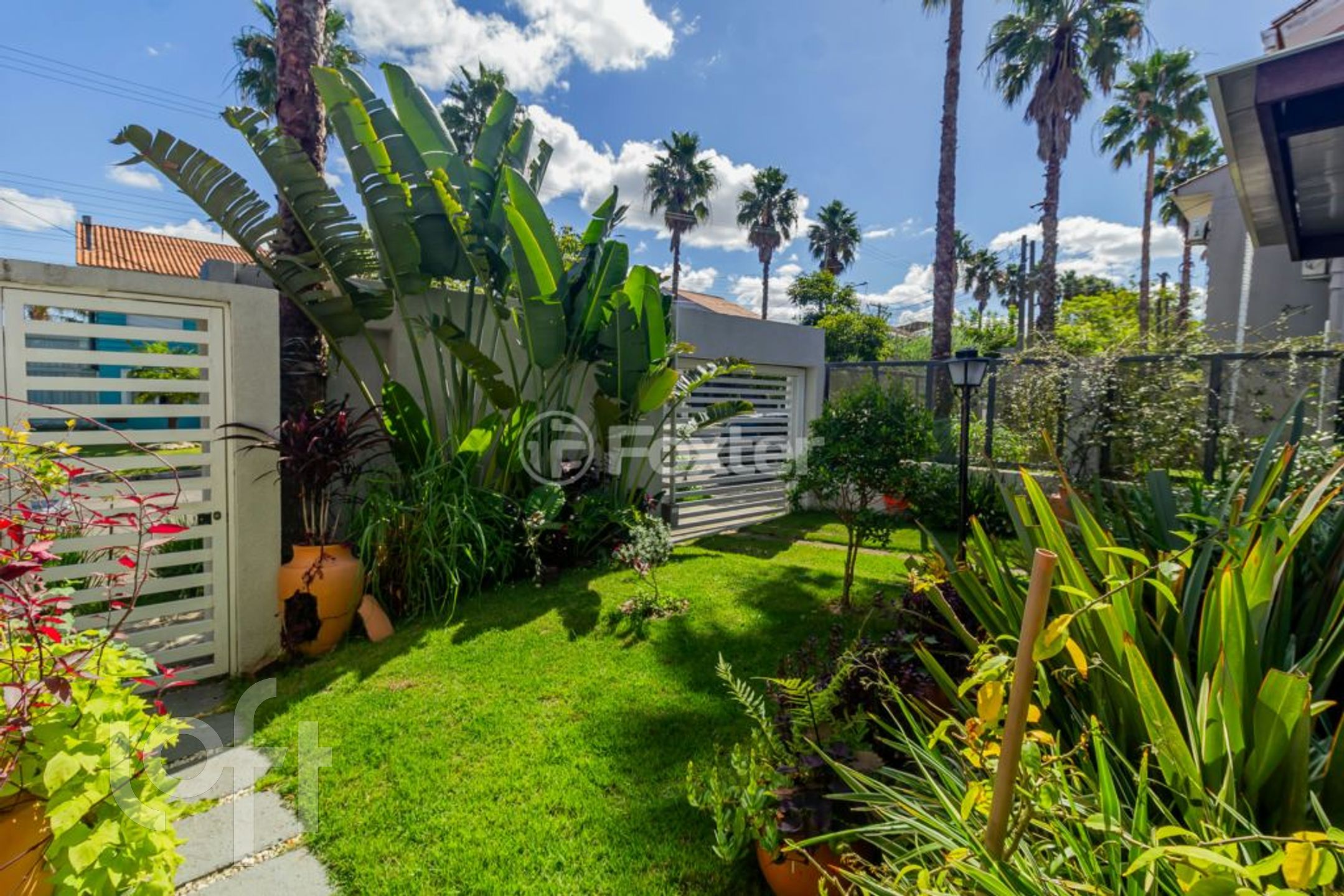 Imagem da propriedade 8