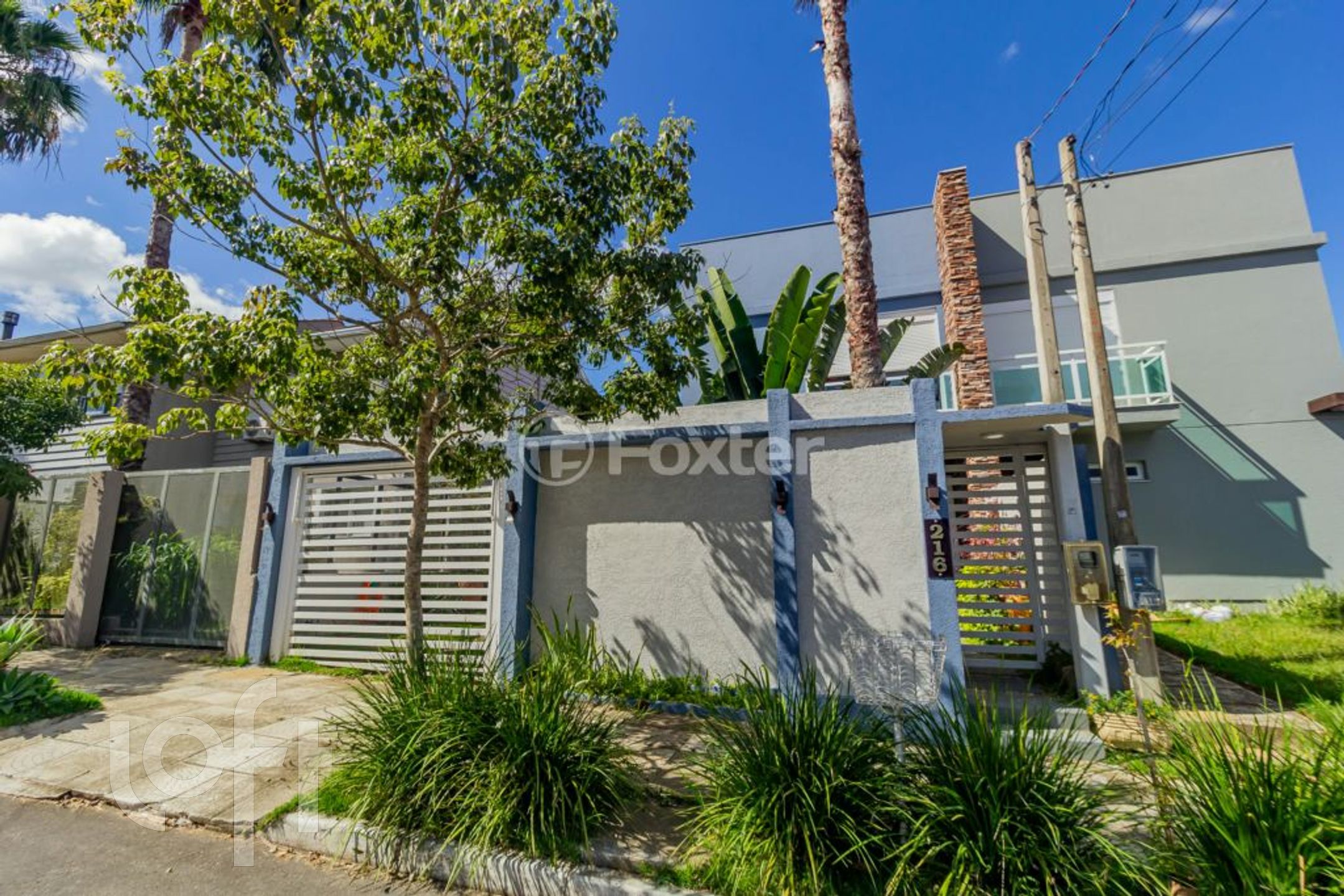 Imagem da propriedade 50