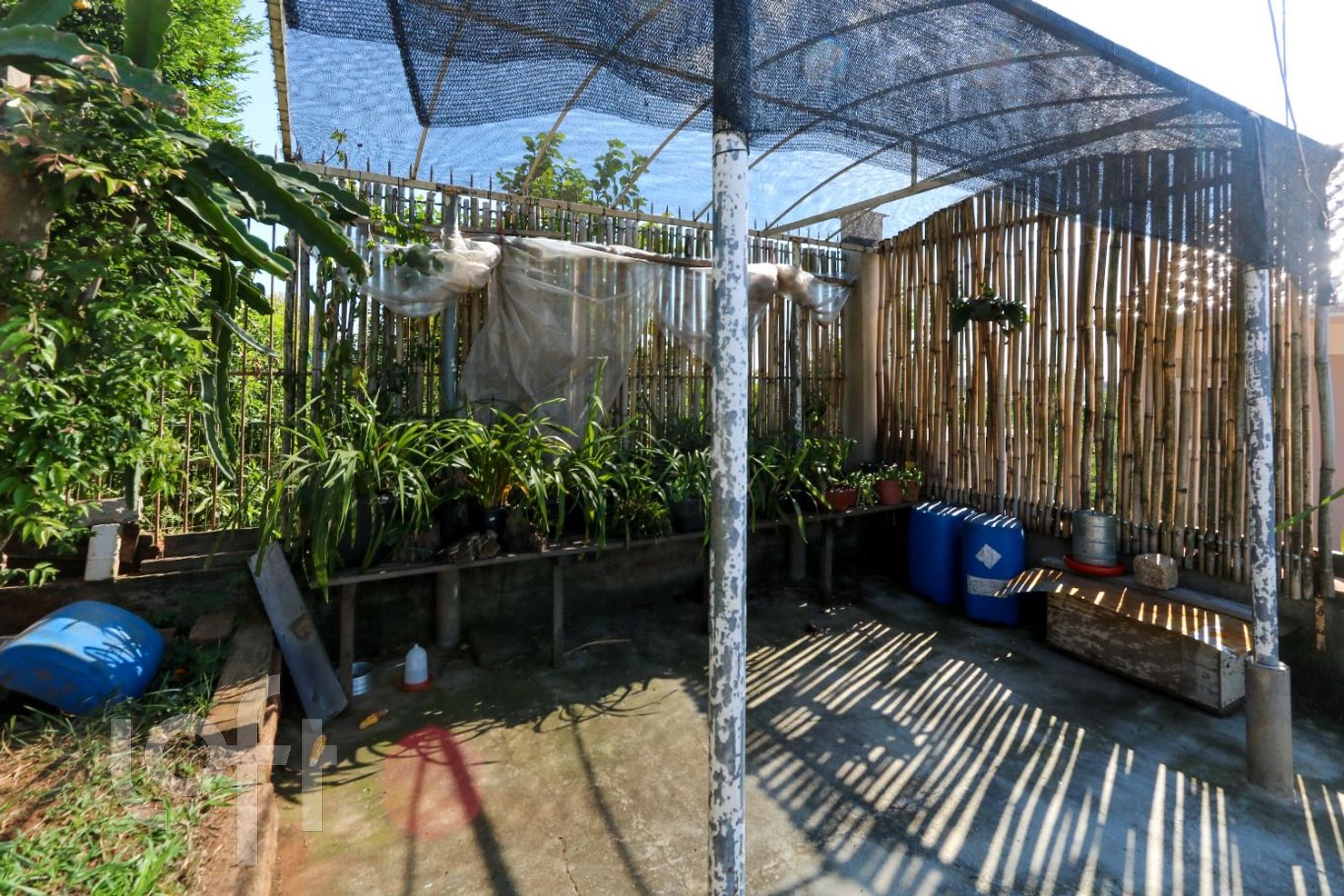 Imagem da propriedade 52