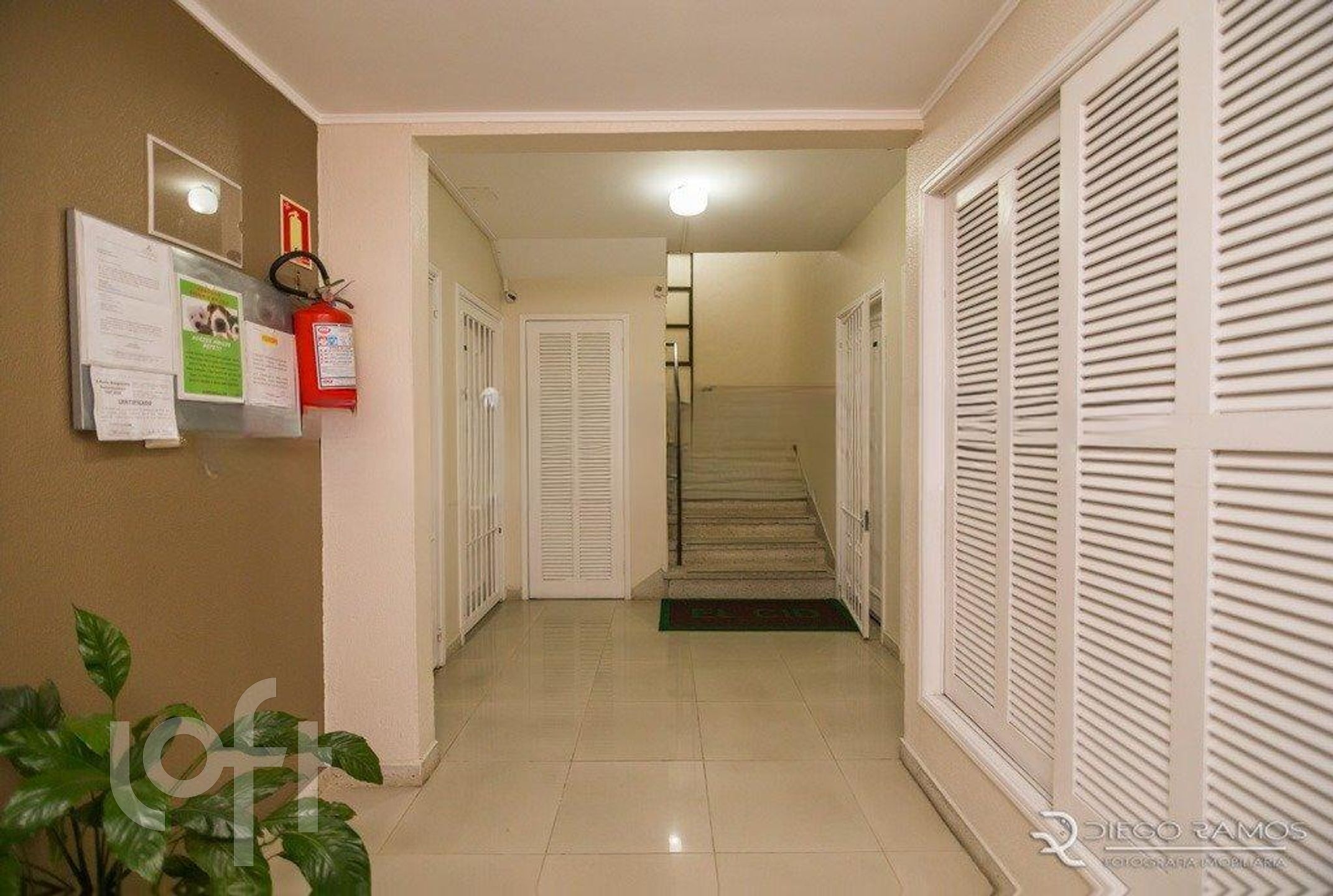 Imagem da propriedade 3