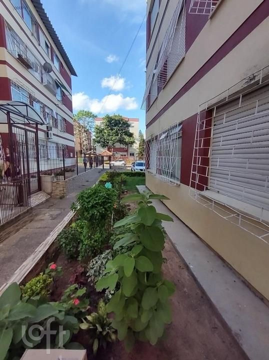 Imagem da propriedade 30