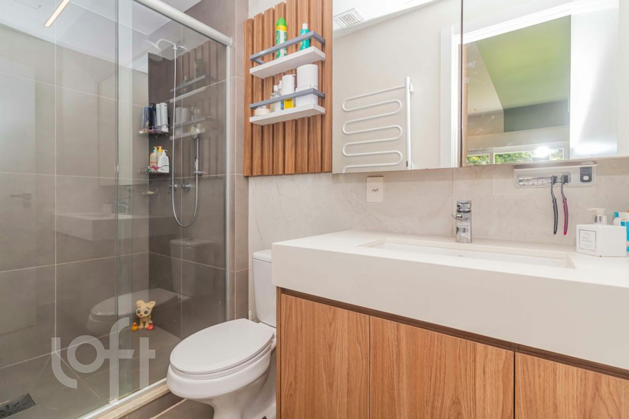 Imagem da propriedade 18