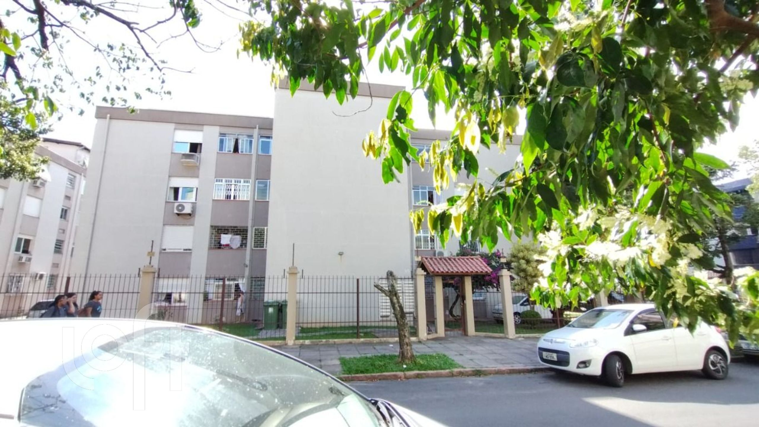 Imagem da propriedade 11