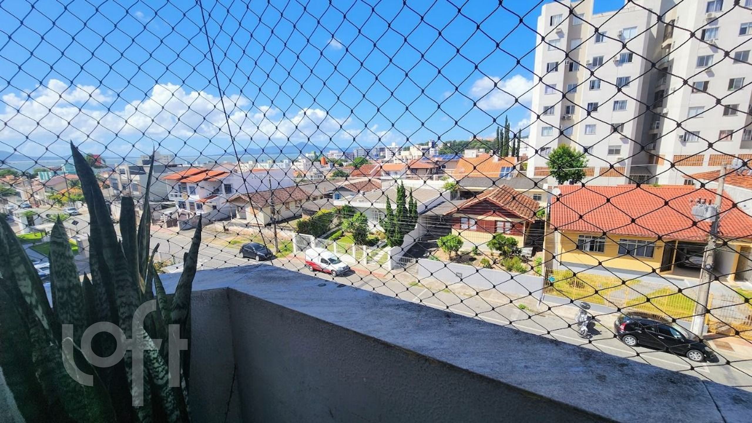 Imagem da propriedade 5