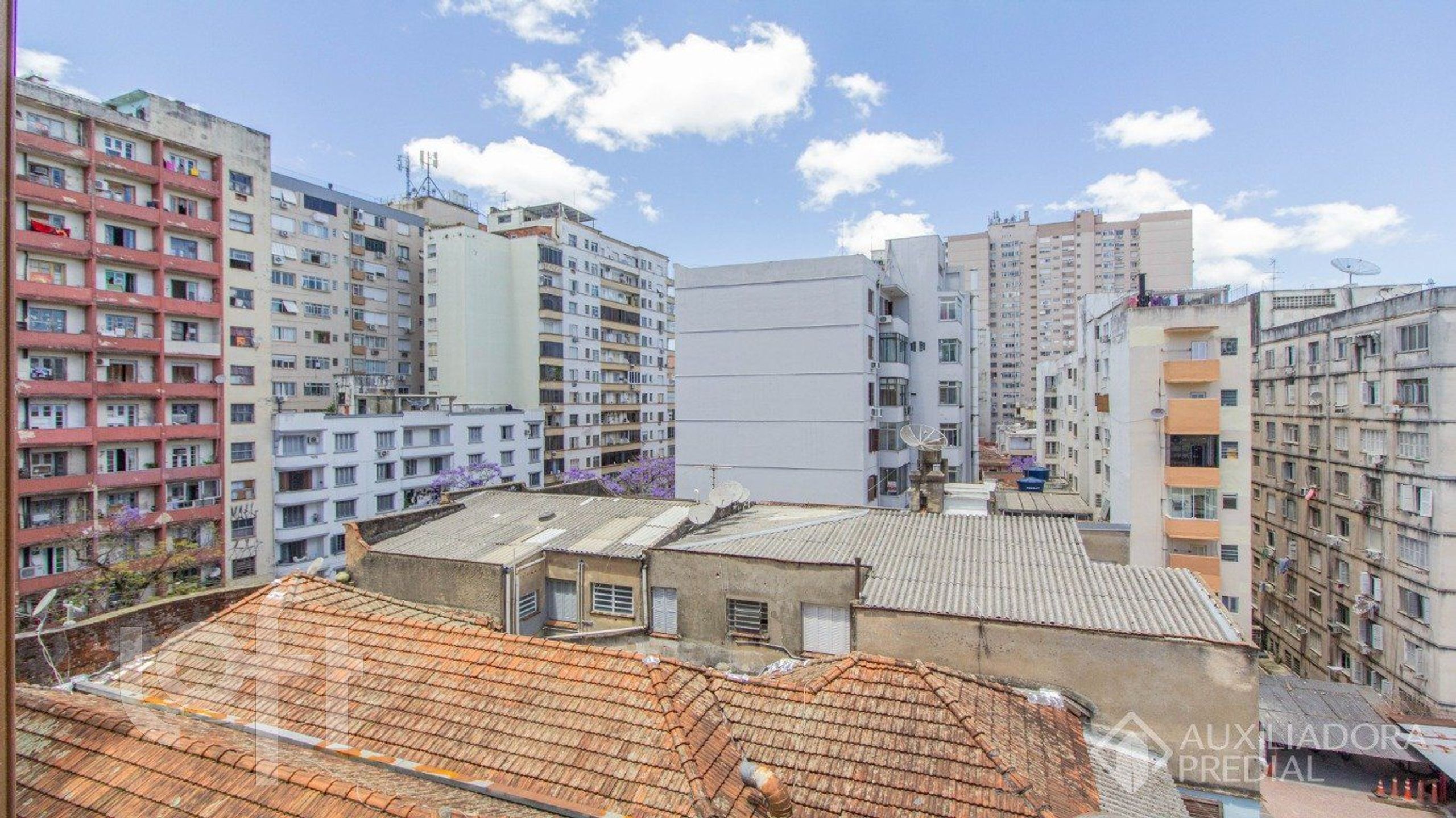 Imagem da propriedade 11