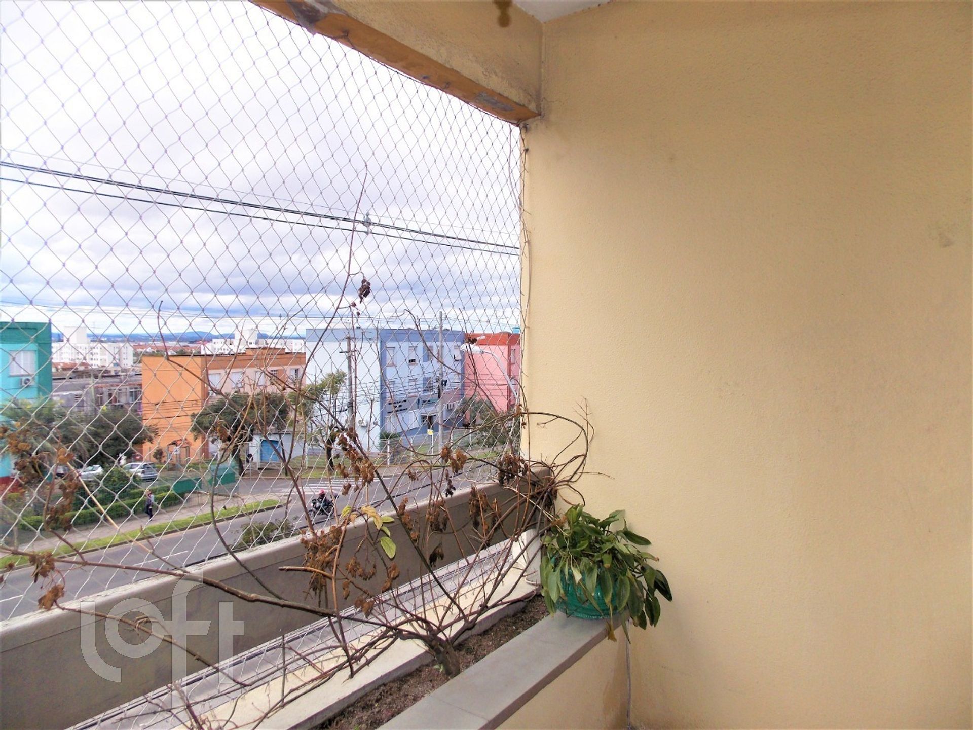 Imagem da propriedade 13