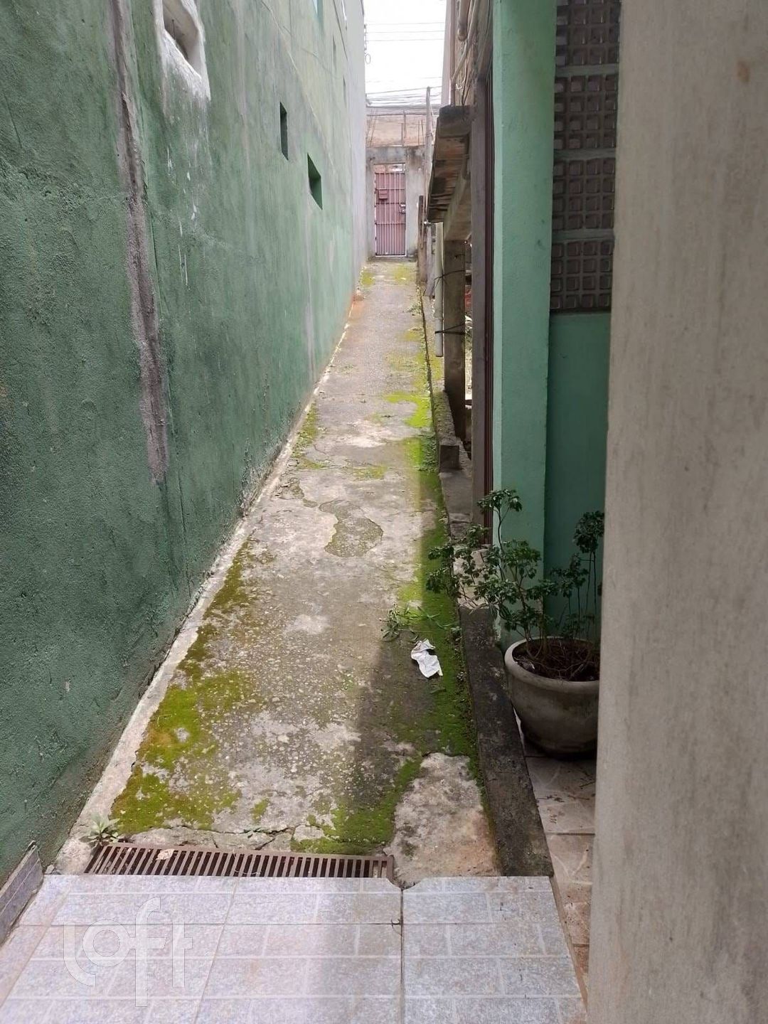 Imagem da propriedade 7