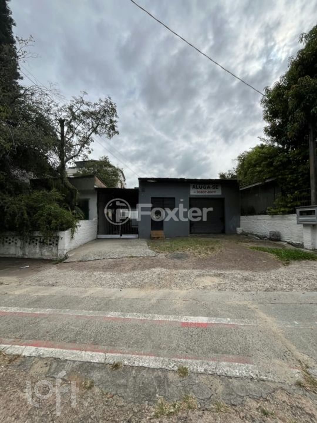 Imagem da propriedade 25