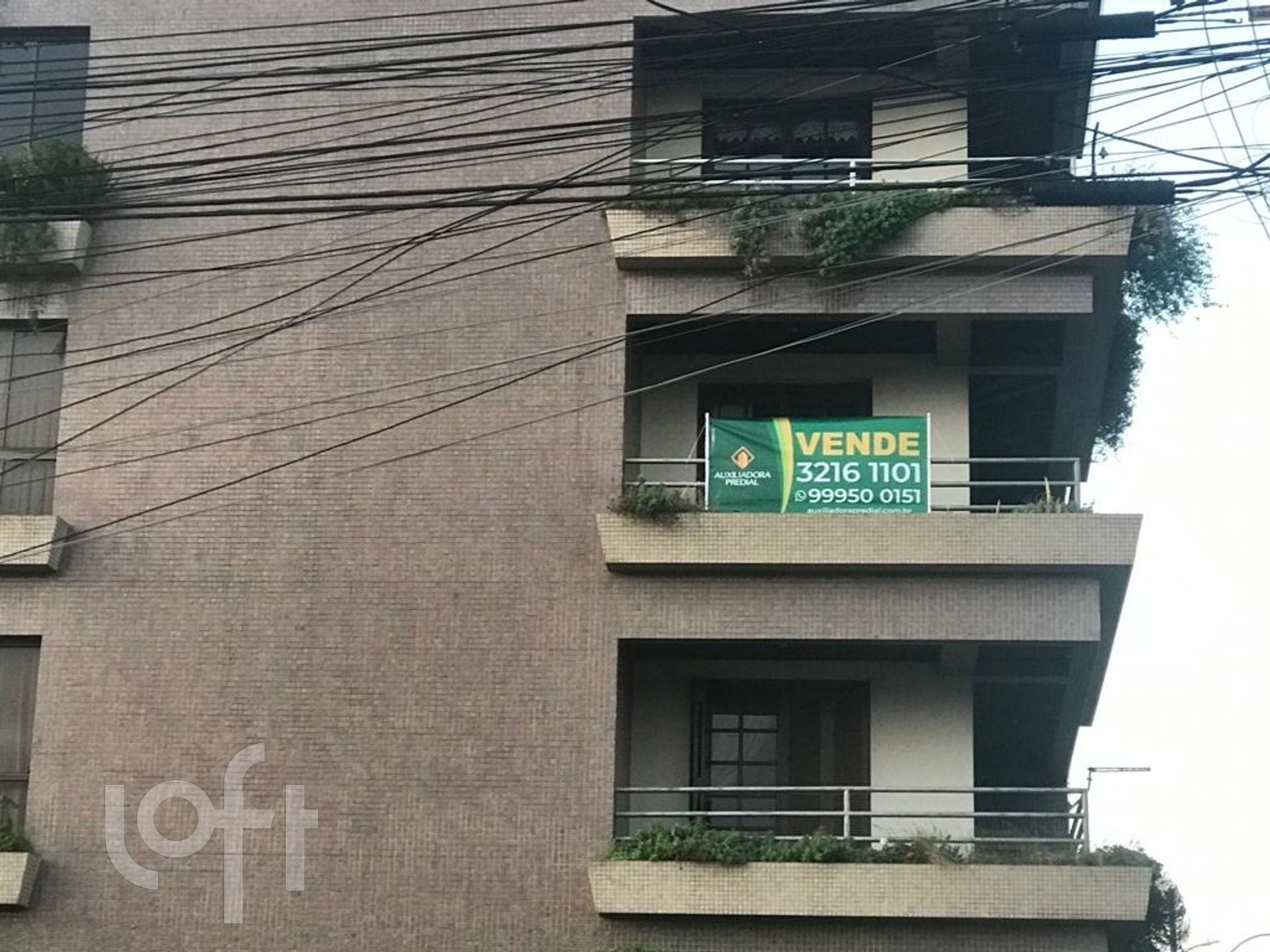 Imagem da propriedade 2