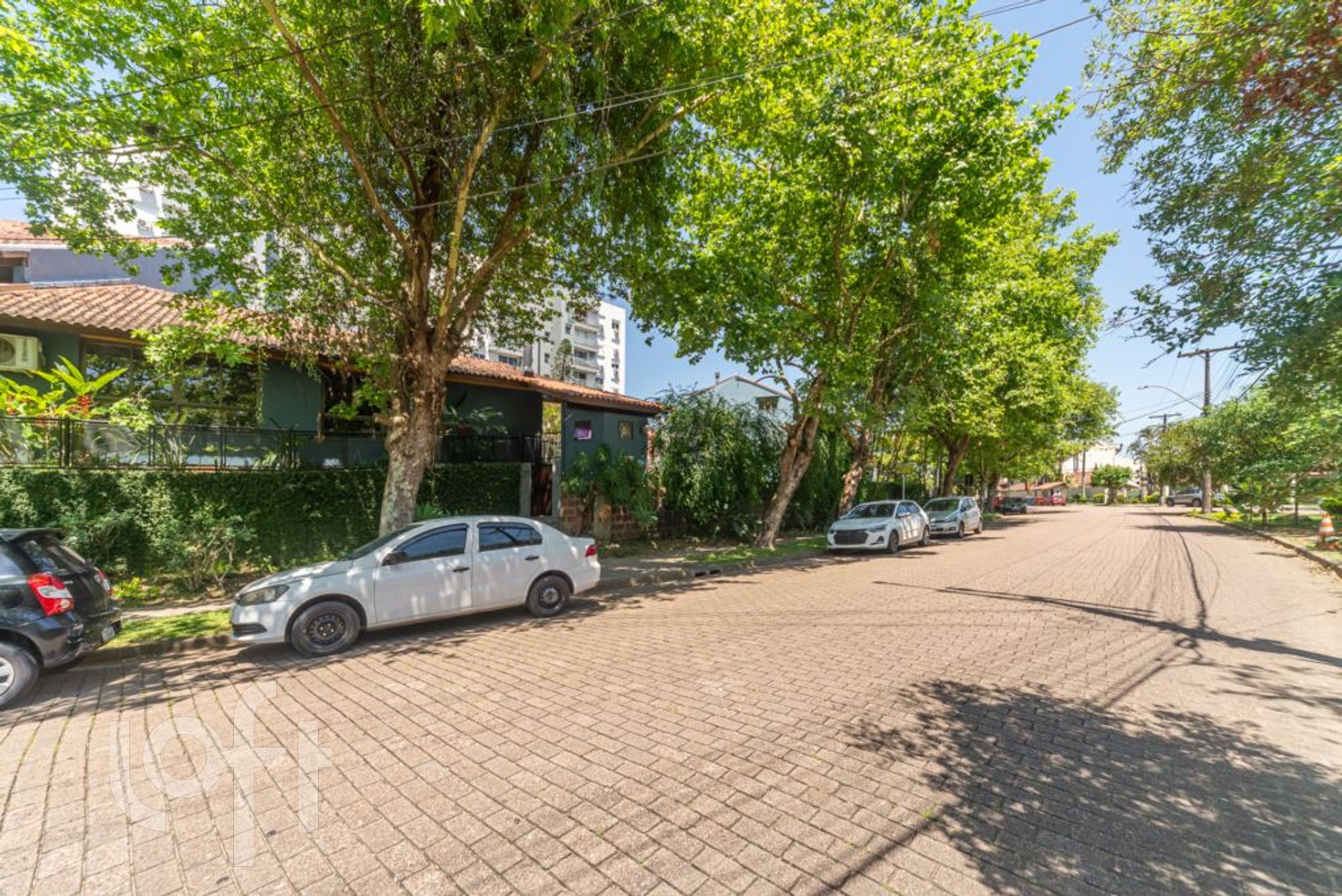 Imagem da propriedade 39