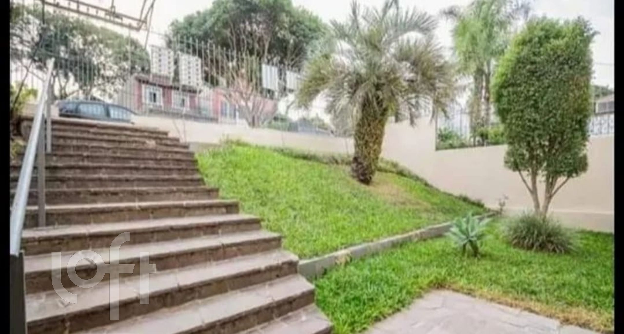 Imagem da propriedade 3