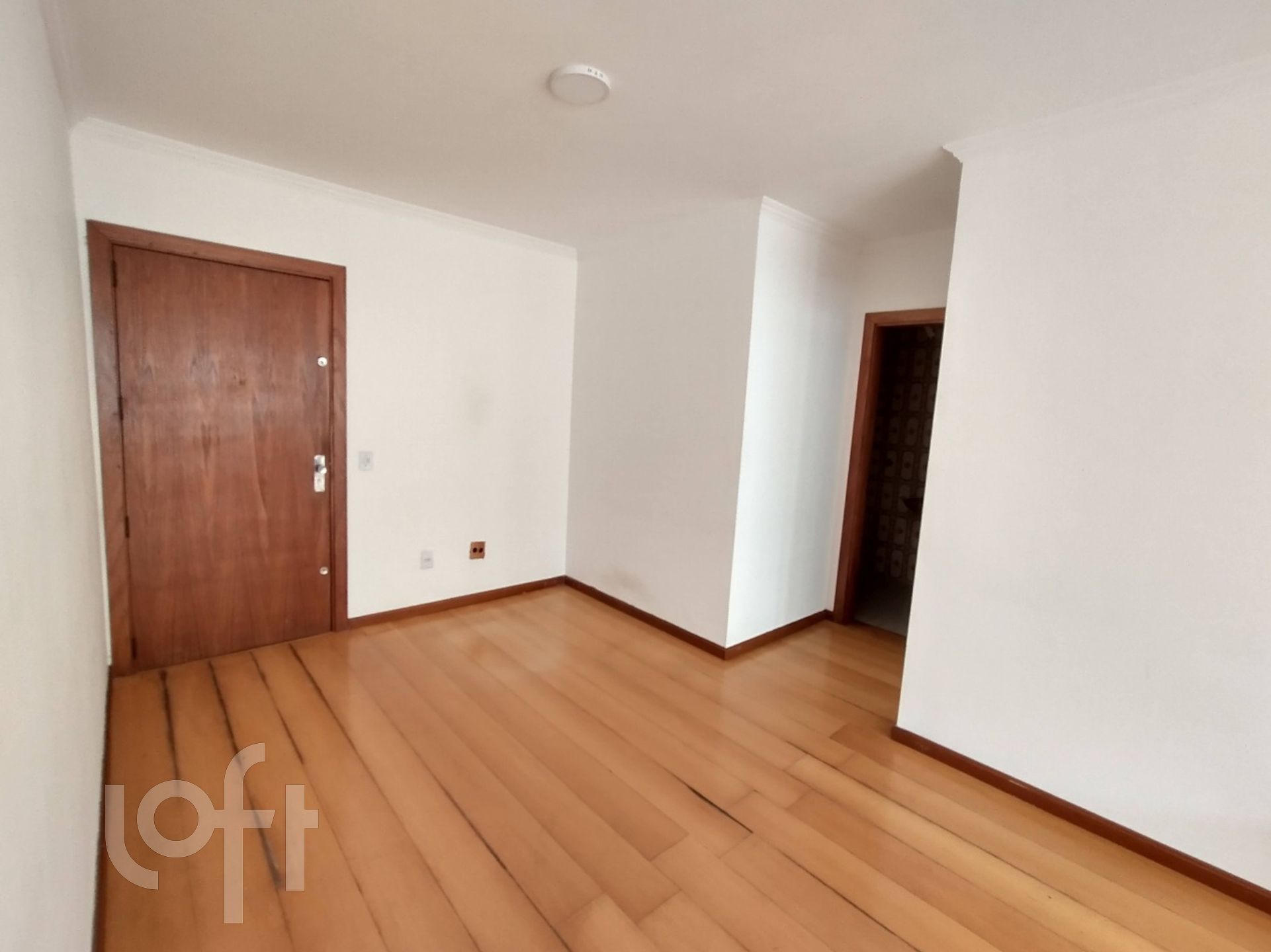 Imagem da propriedade 3