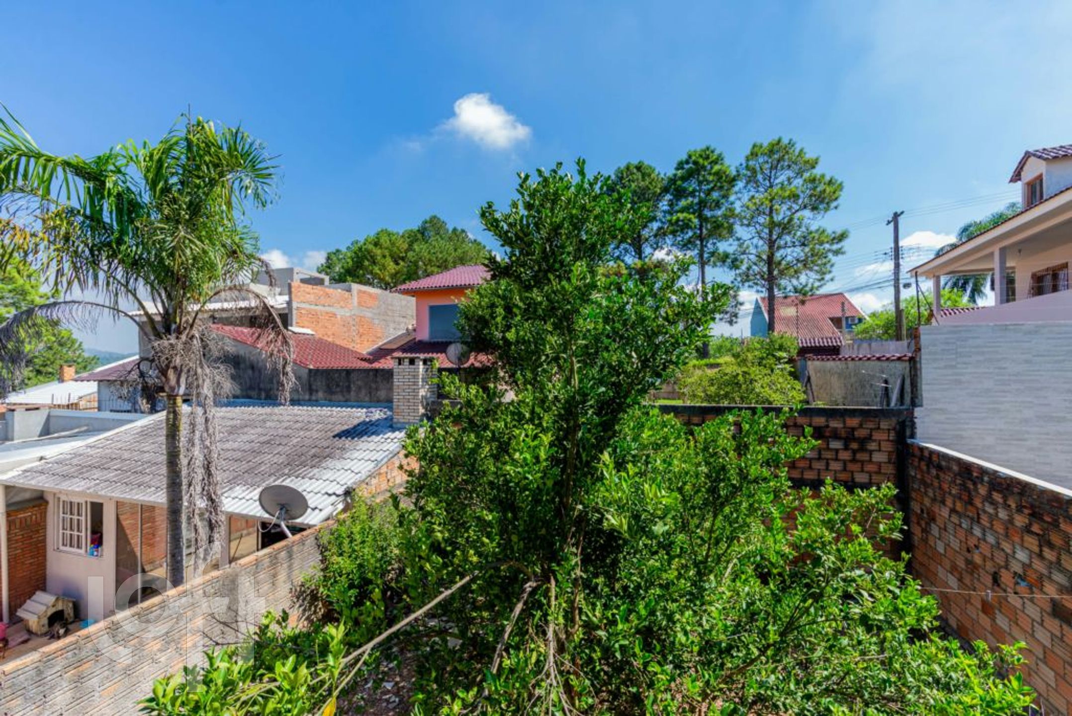 Imagem da propriedade 18