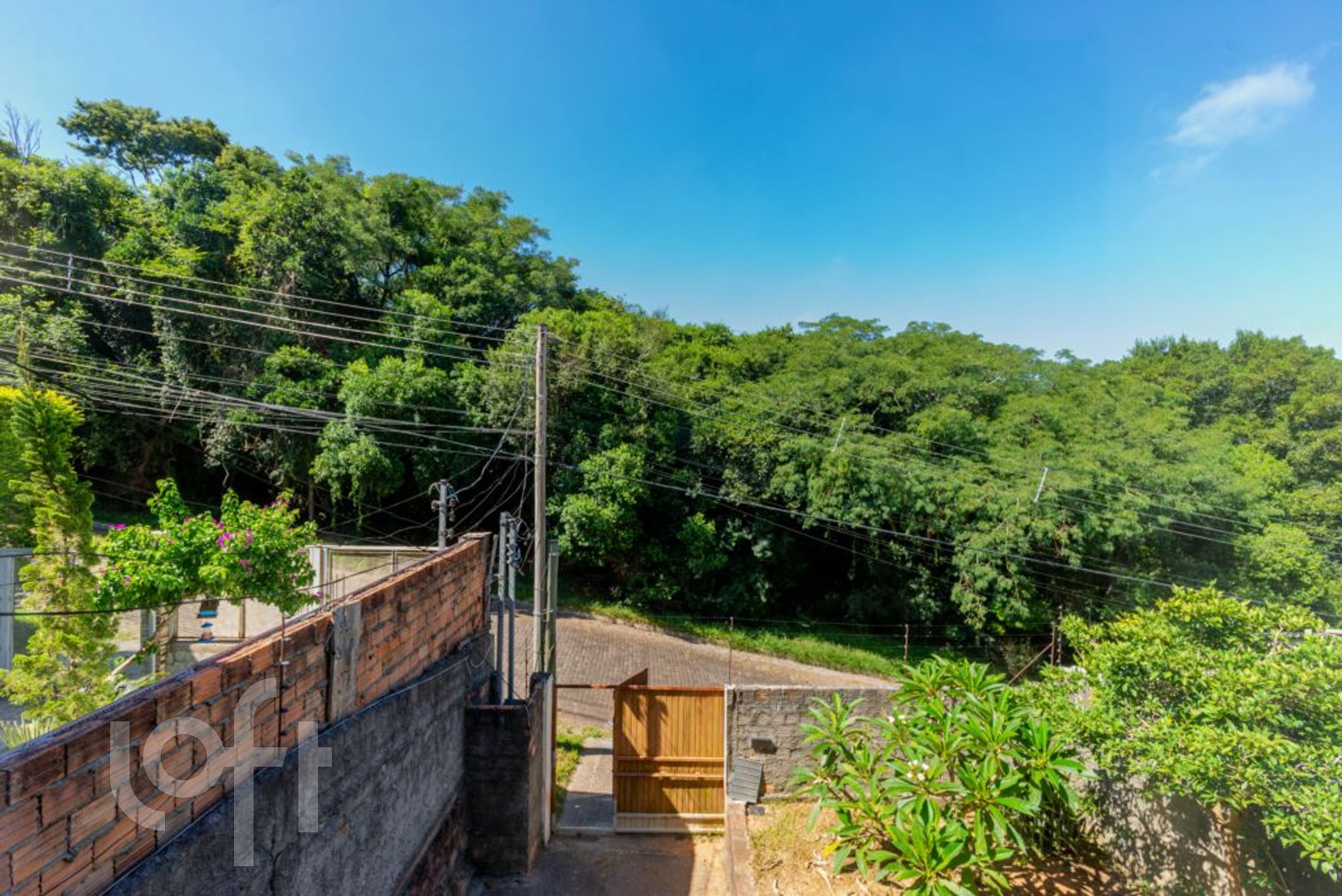 Imagem da propriedade 6