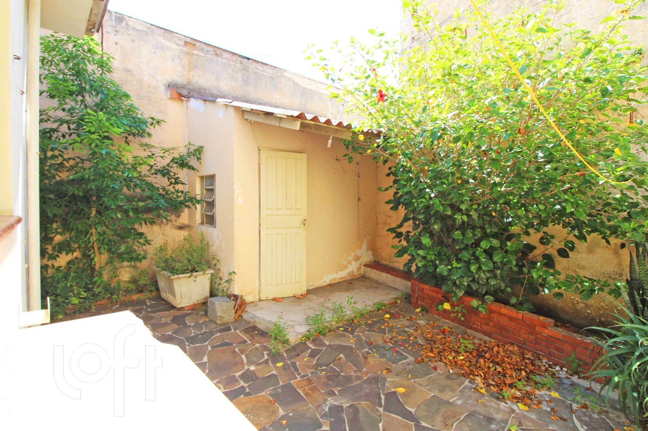 Imagem da propriedade 15