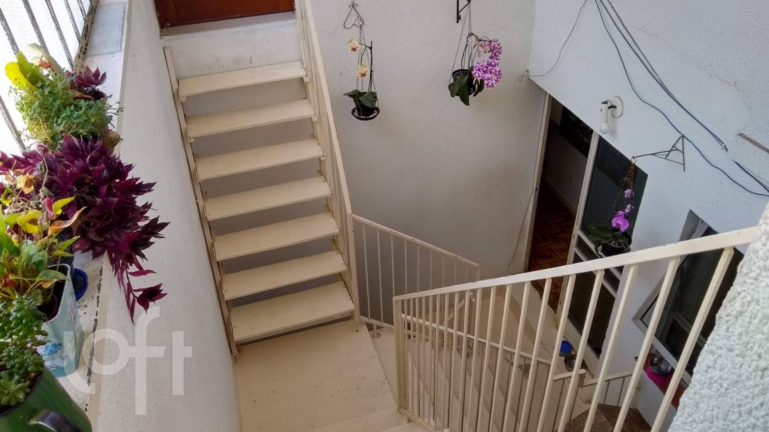 Imagem da propriedade 49