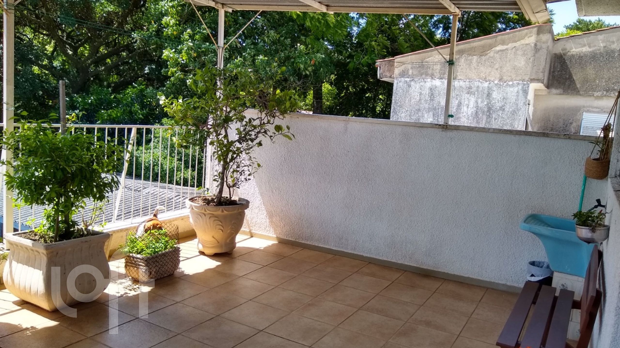 Imagem da propriedade 58