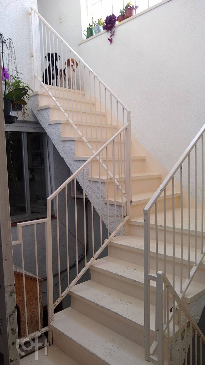 Imagem da propriedade 31