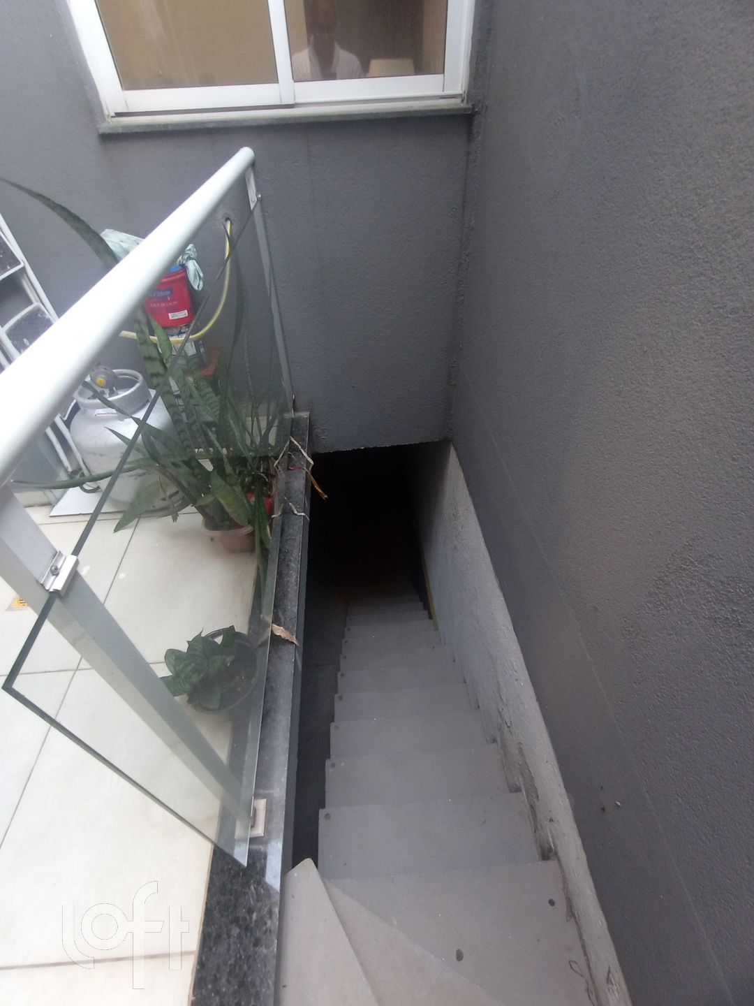 Imagem da propriedade 7