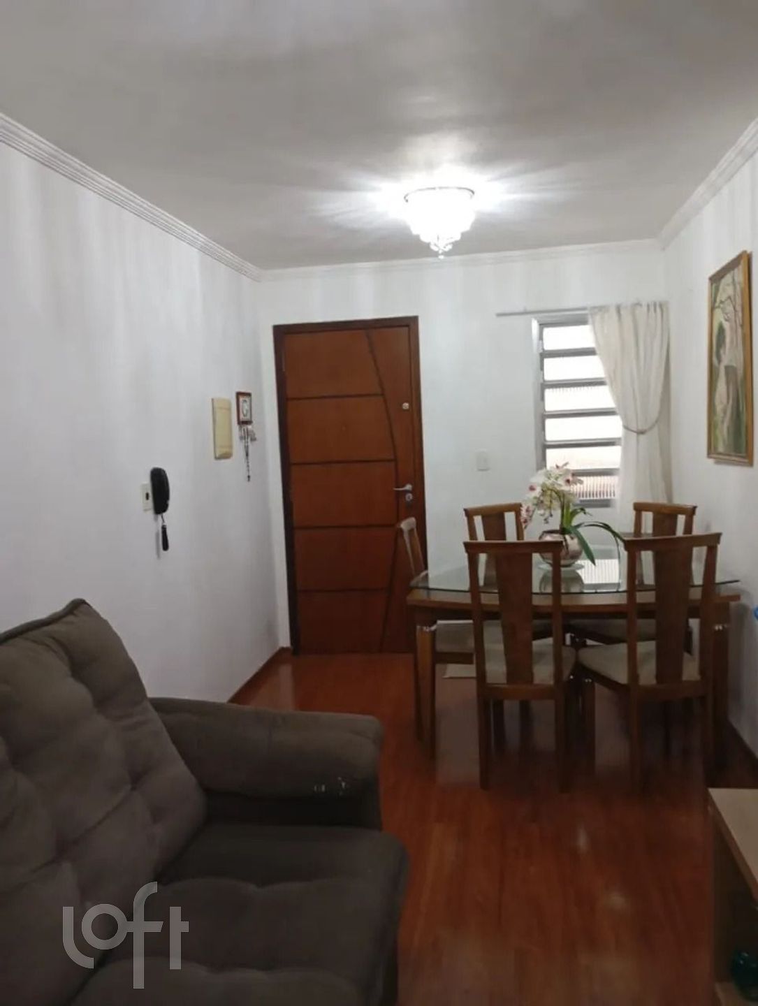 Imagem da propriedade PUp53coj 2