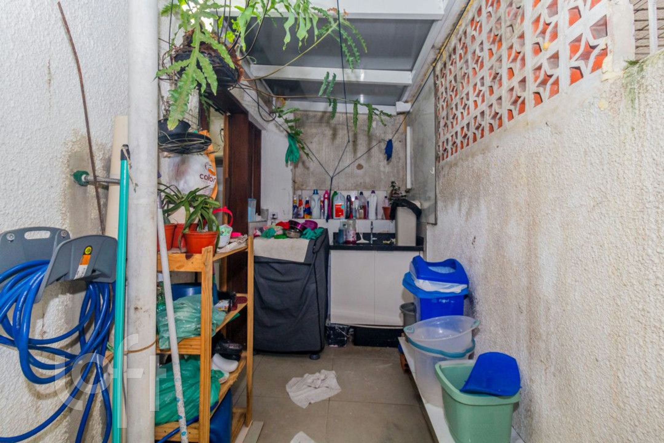 Imagem da propriedade 7