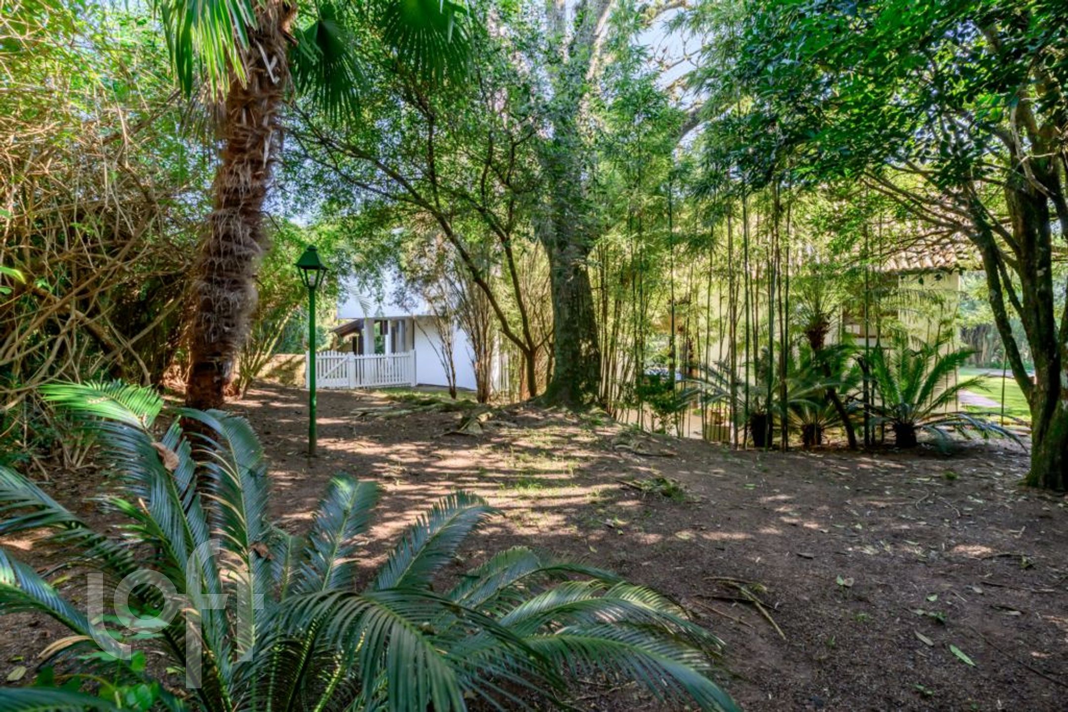 Imagem da propriedade 60